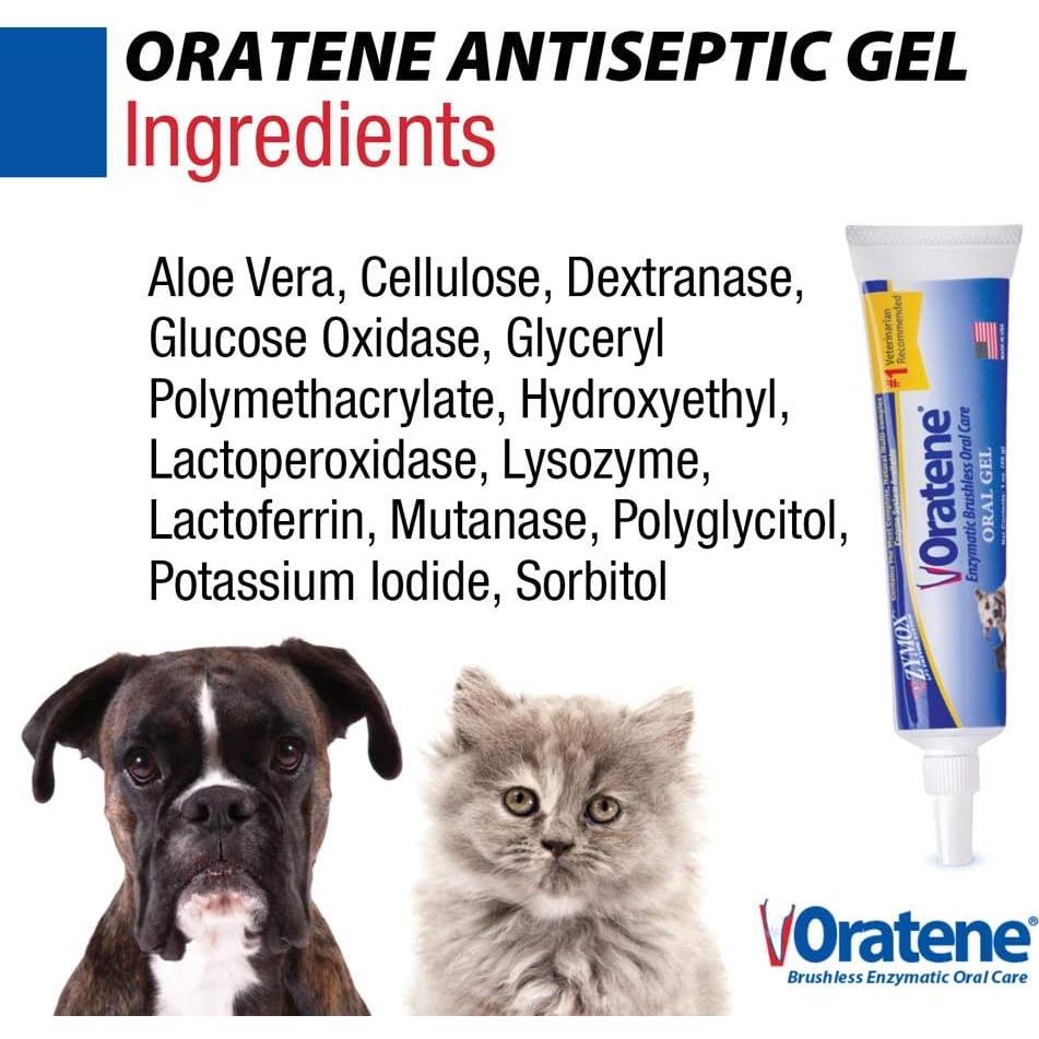 Gel Oral Sin Cepillo ZYMOX Oratene Pet King 28 g para Mascotas