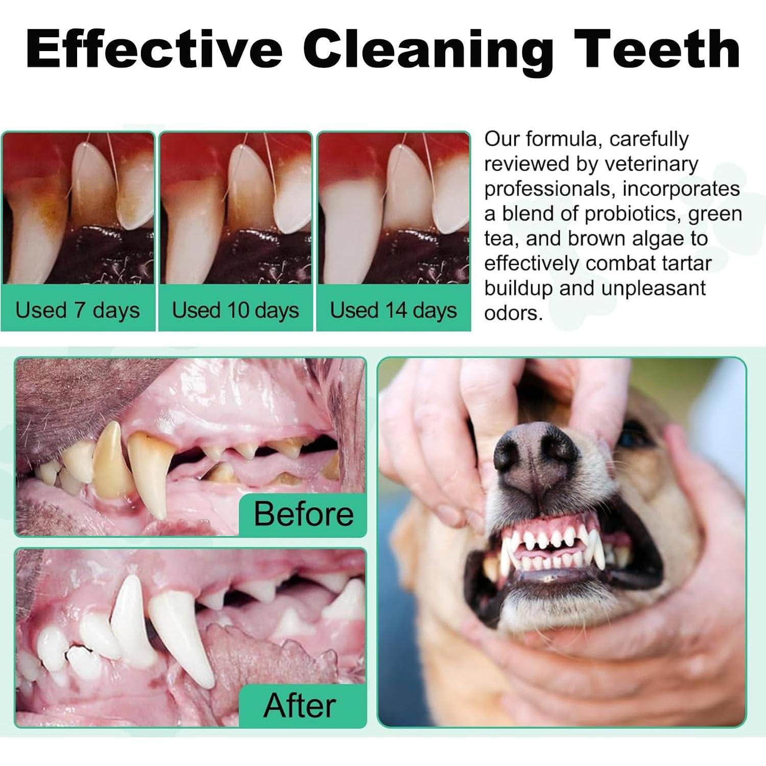 Polvo Limpiador Dental para Perros Dogscute 152g