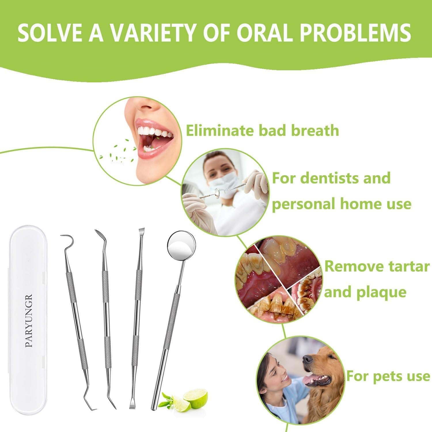 Kit de Higiene Oral Profesional PARYUNGR - Acero Inoxidable