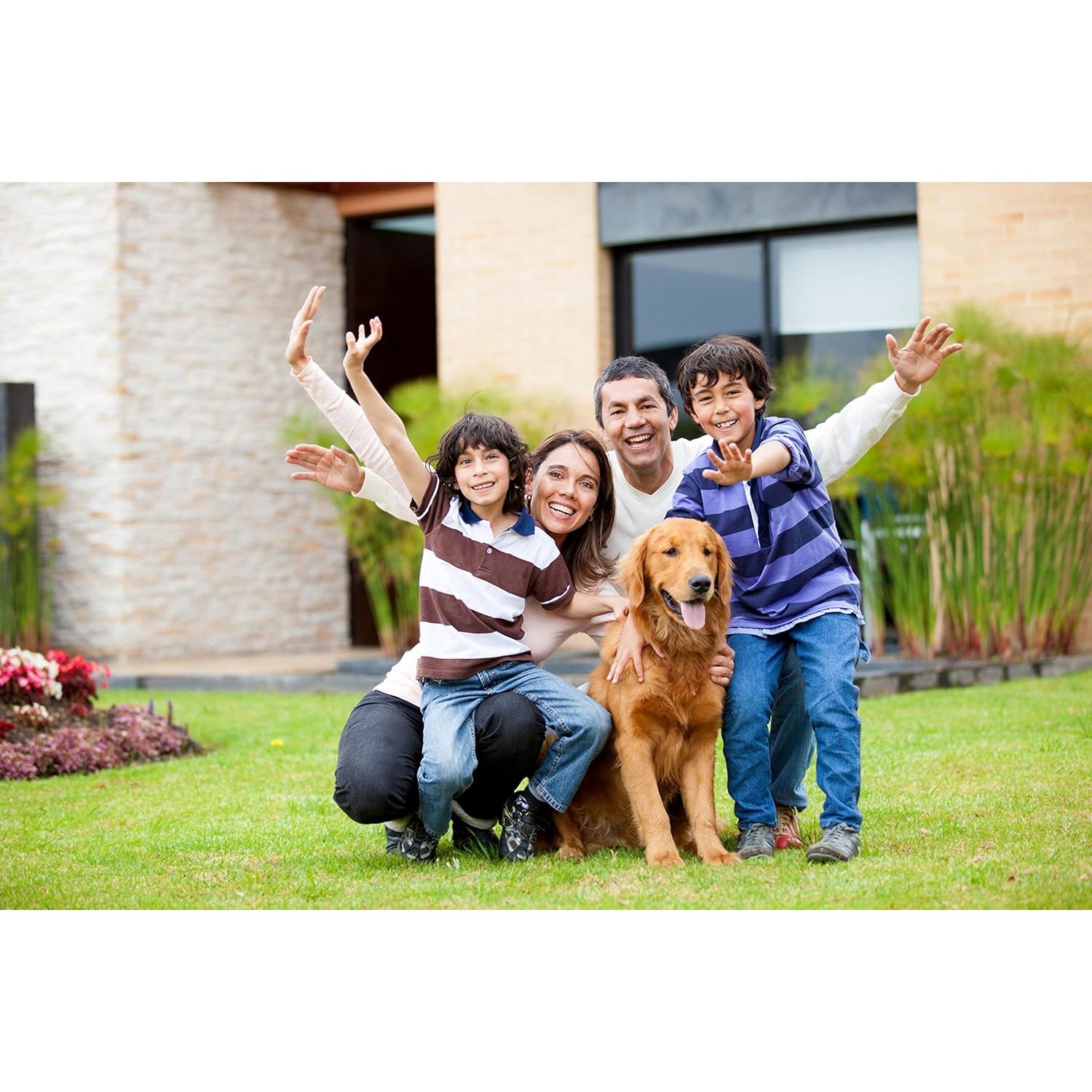 Kit de Higiene Dental Majestic Bombay - 4 Herramientas Esenciales