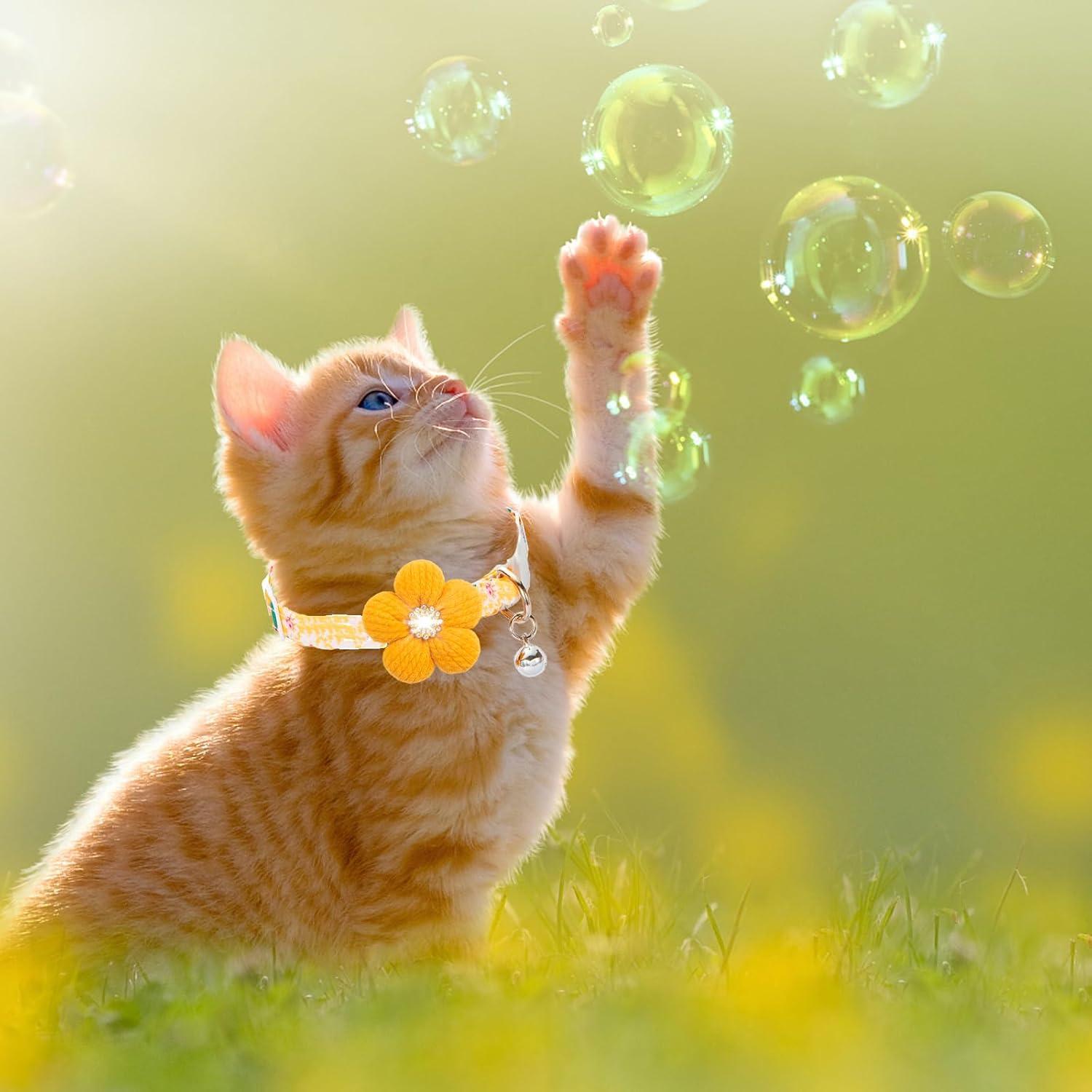 Collar Floral para Gato HYQHYX Ajustable con Hebilla Segura