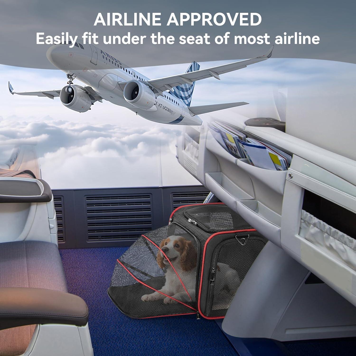 Transportadora Expandible para Gatos Petsfit M 43x28x28cm