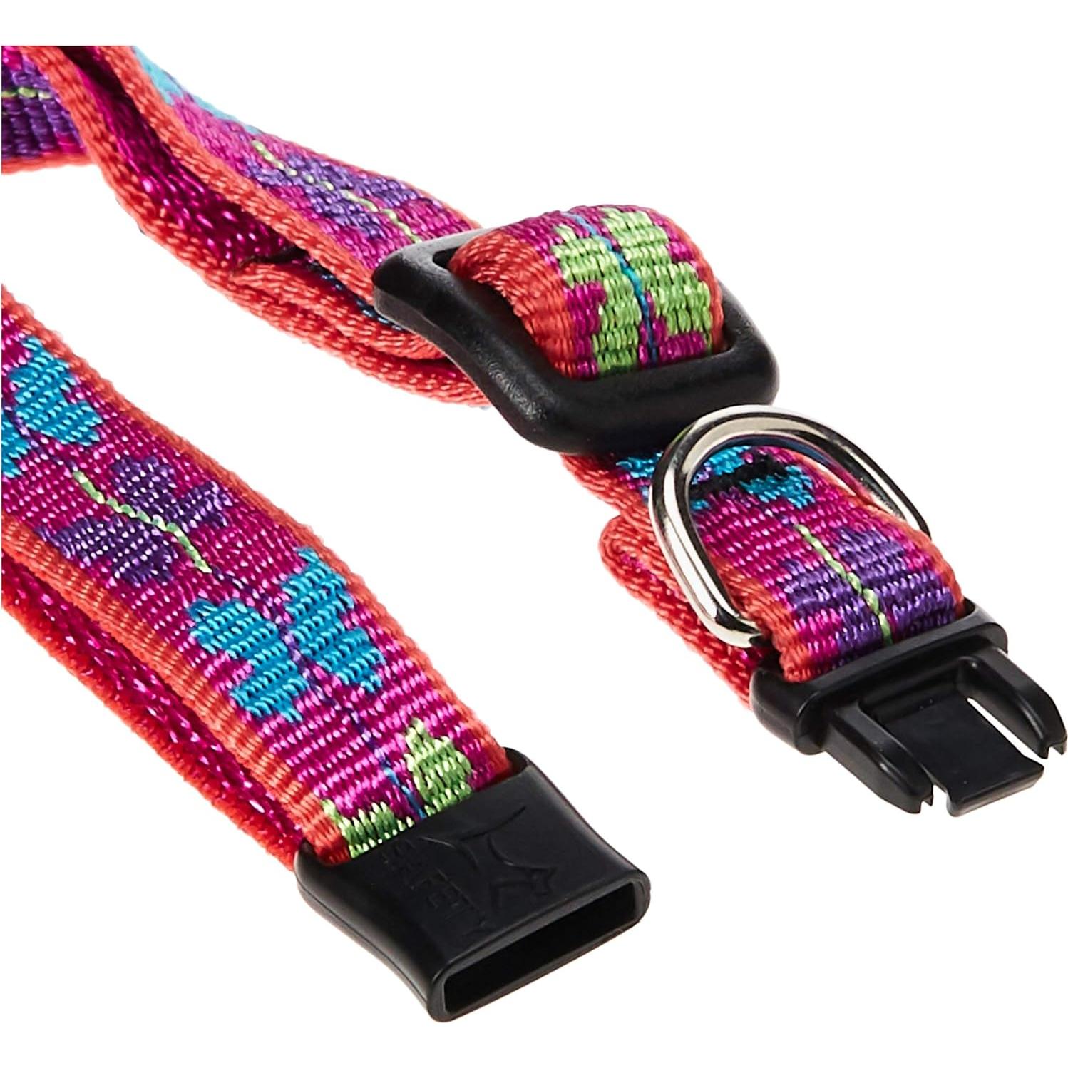 Collar de Seguridad para Gatos LupinePet Wing It 20-30 cm