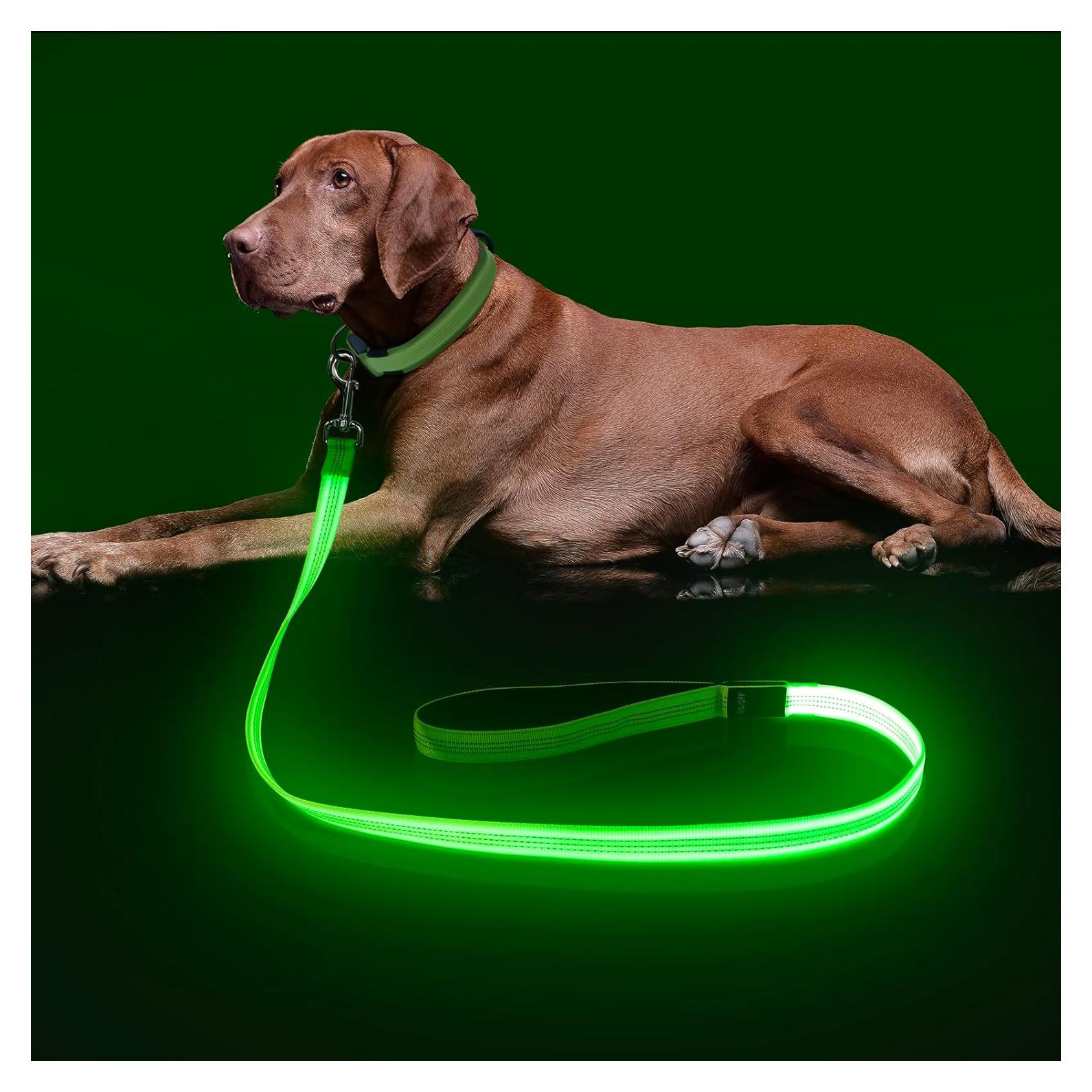 Correa LED para Perros Bisen 4FT Verde Recargable USB