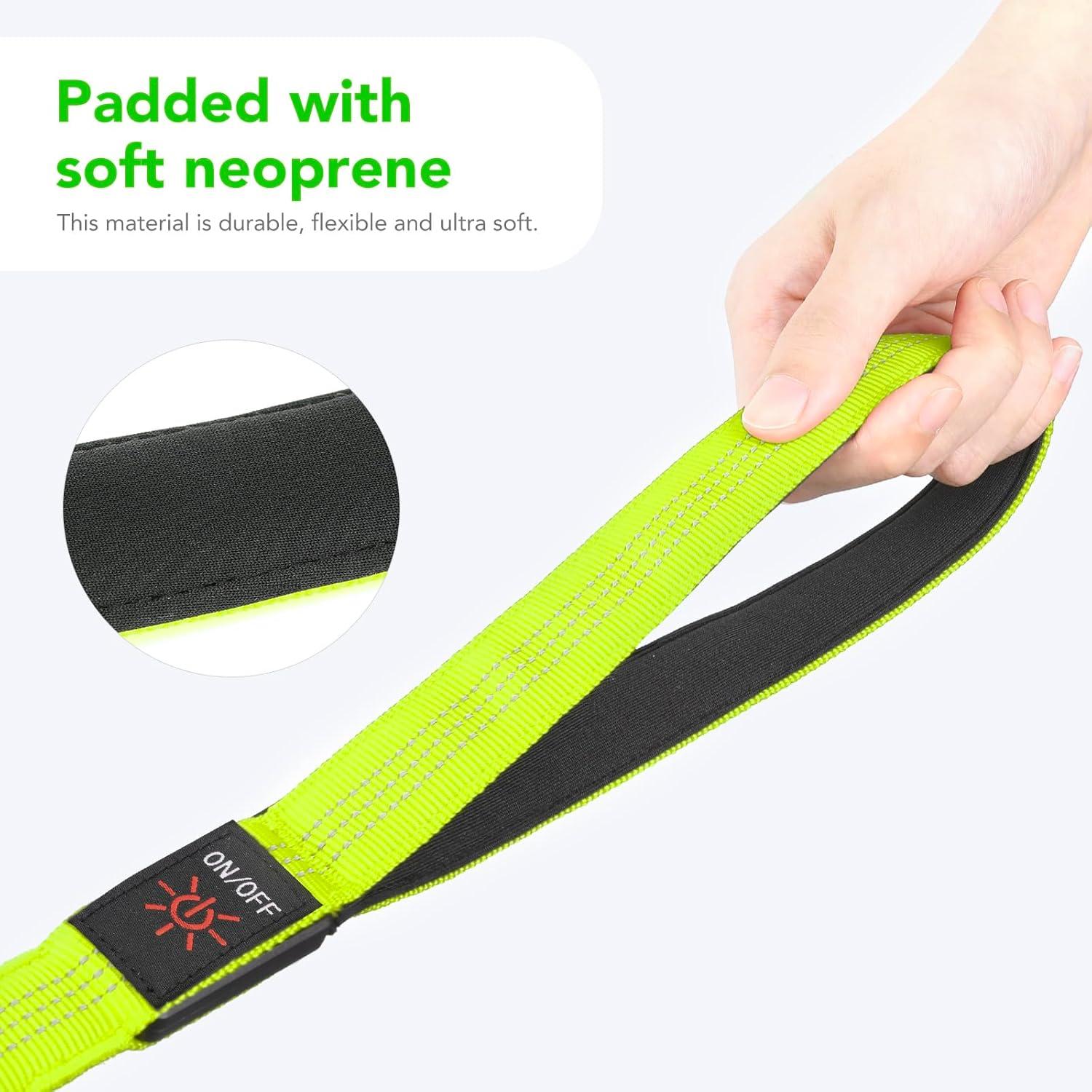 Correa LED para Perros Bisen 4FT Verde Recargable USB