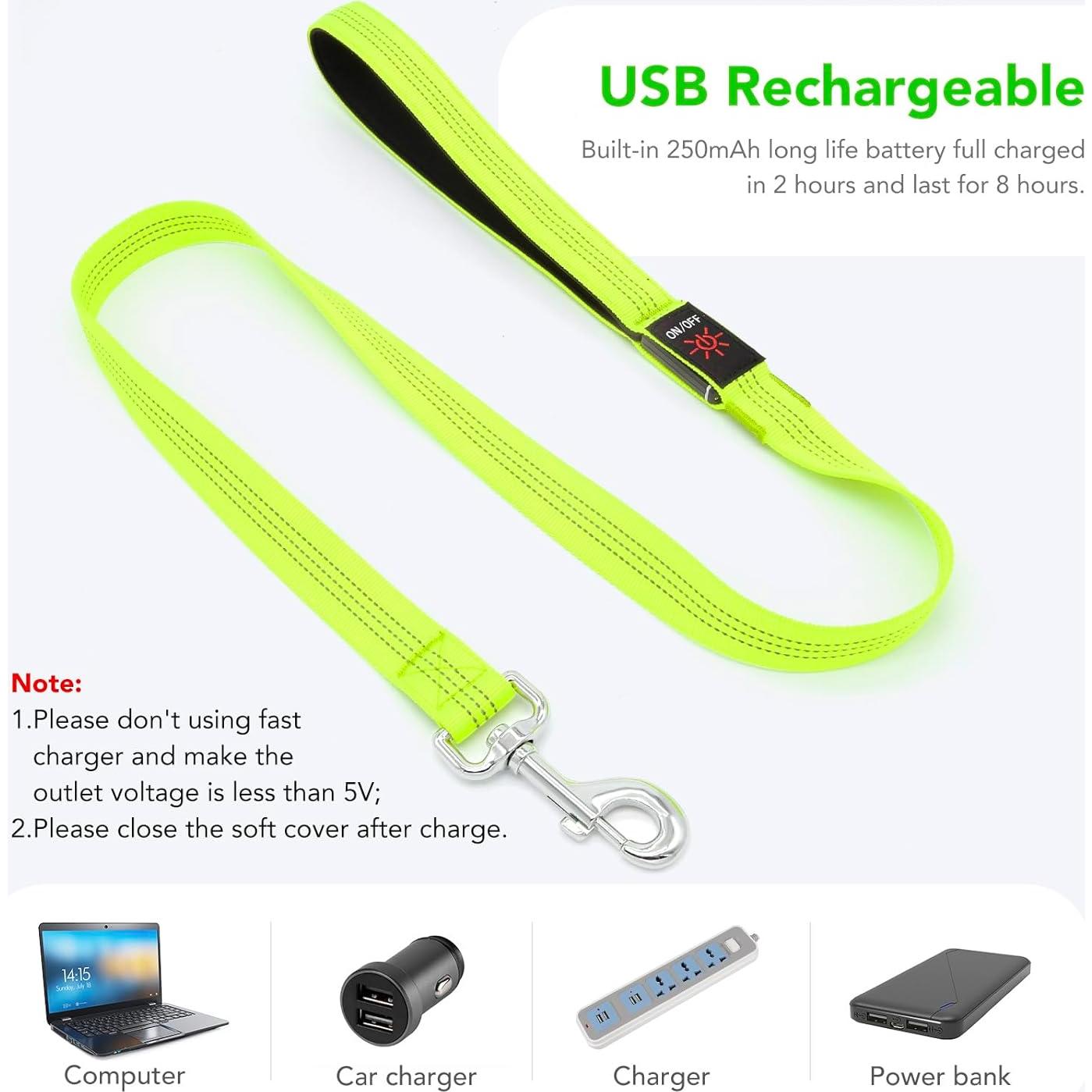 Correa LED para Perros Bisen 4FT Verde Recargable USB