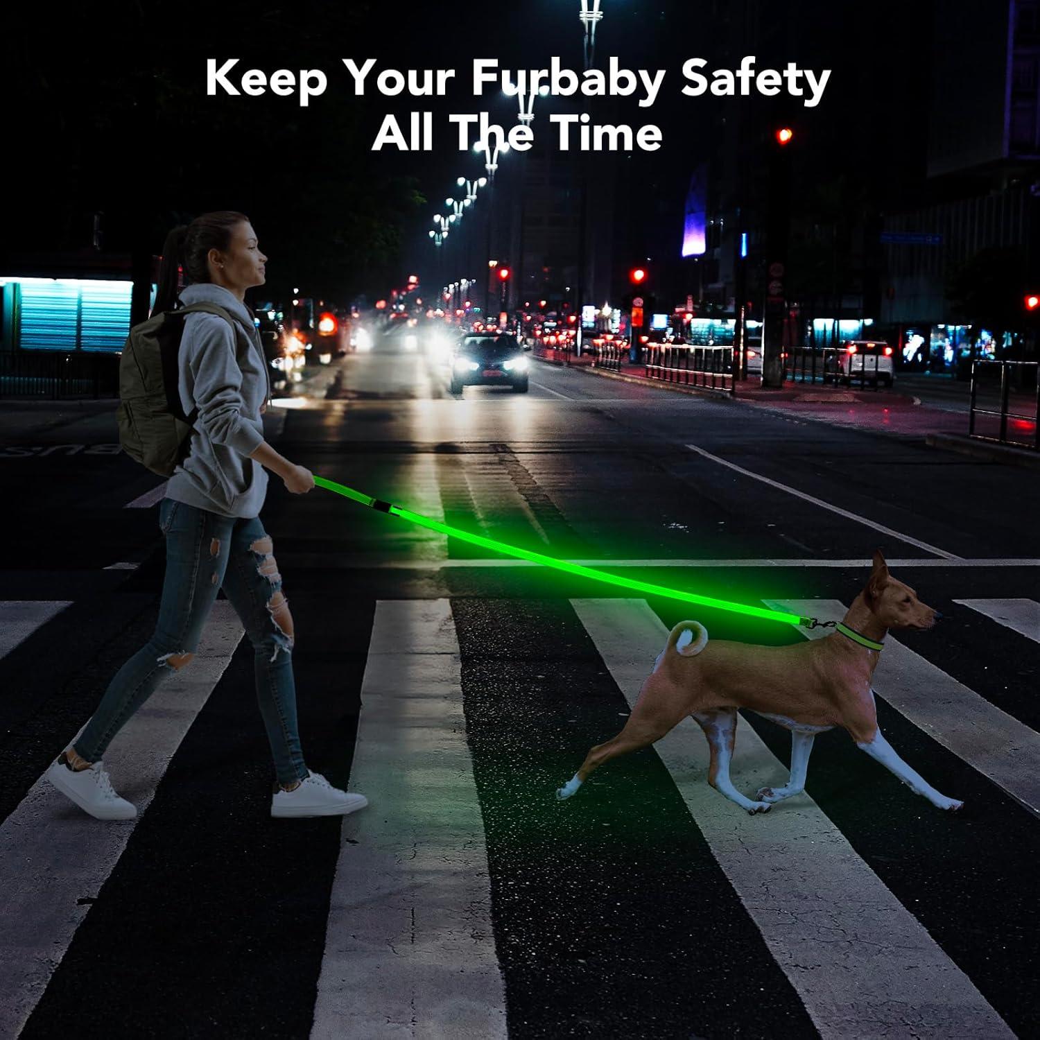 Correa LED para Perros Bisen 4FT Verde Recargable USB