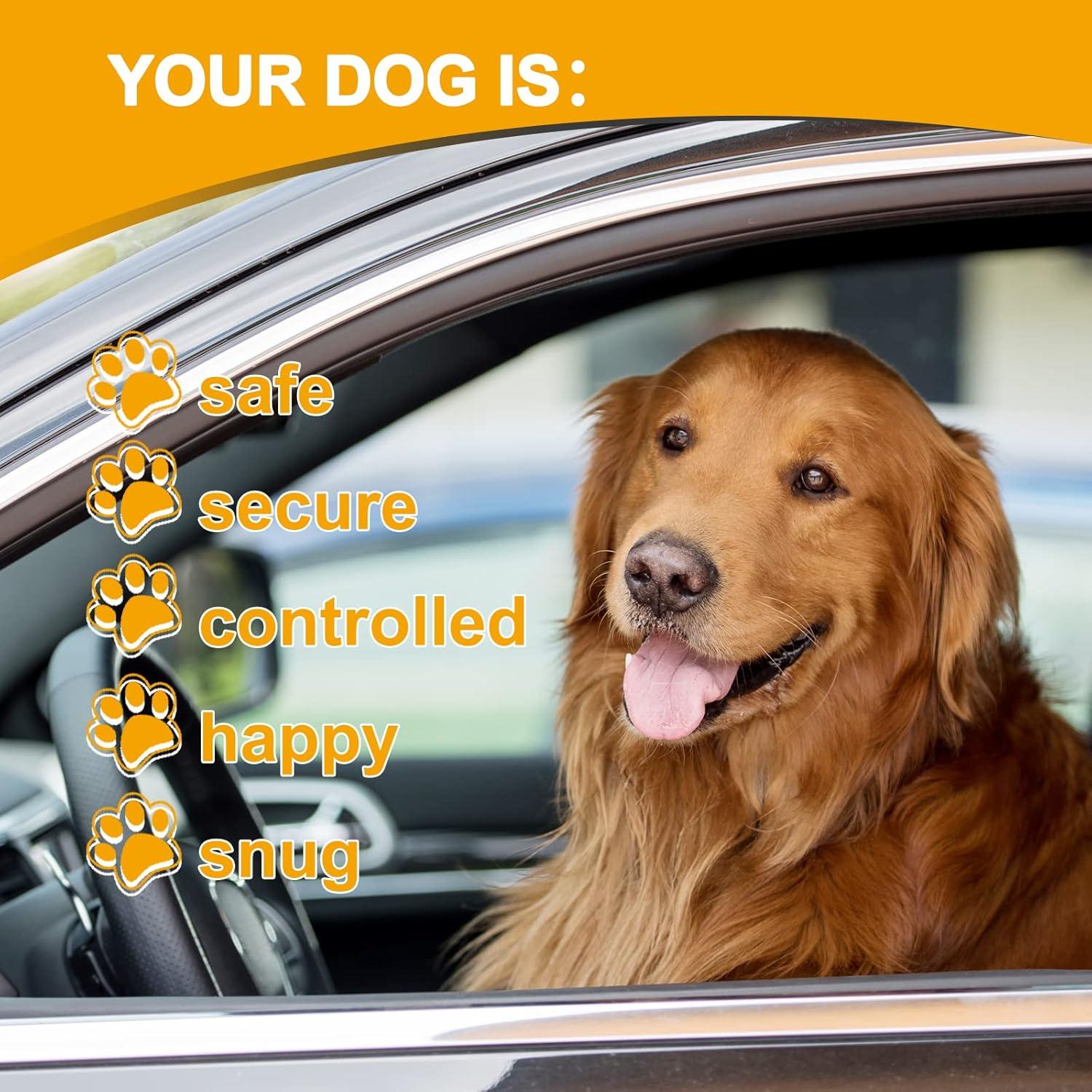 Arnés para Perros Mi Metty Cinturón Seguridad 100 CM Negro