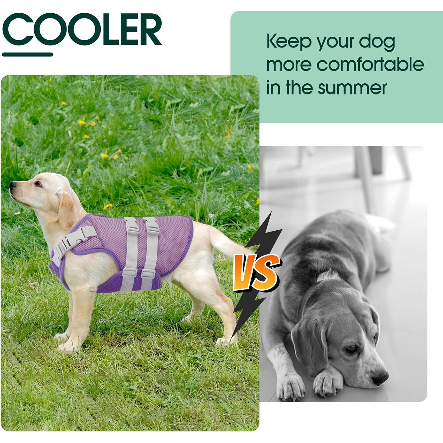 Chaleco Refrigerante Kuoser para Perros Morado XL