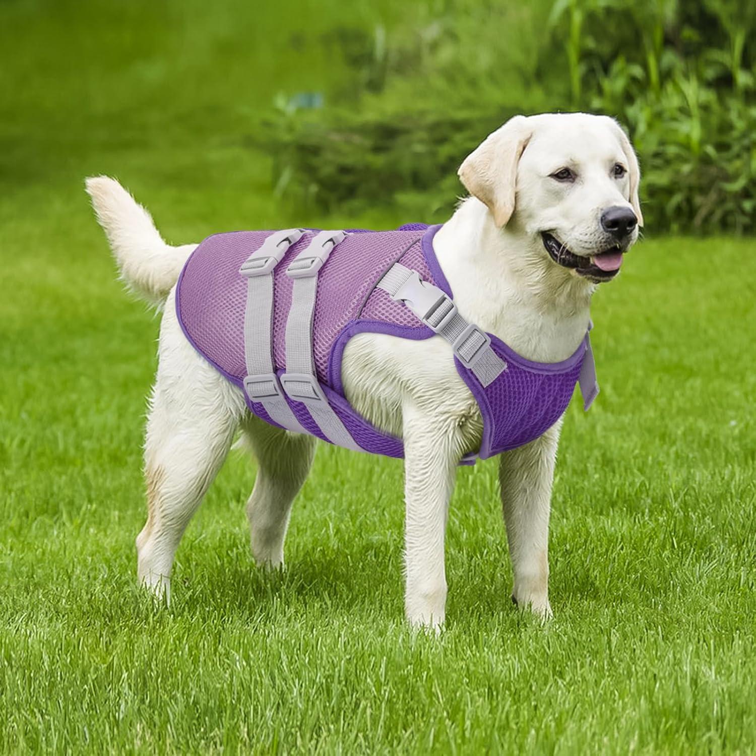 Chaleco Refrigerante Kuoser para Perros Morado XL