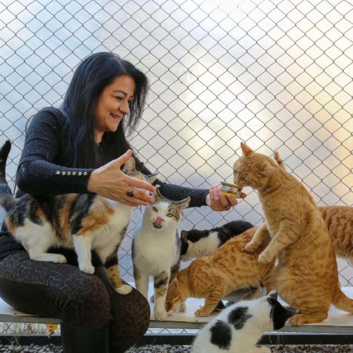 Red para Balcón para Gatos HOMYPOWER 3,05x6,10 m Reforzada