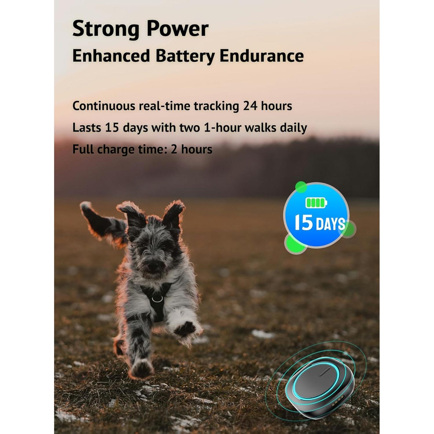 Rastreador GPS Aorkuler para Perros Sin Cuota Mensual Negro