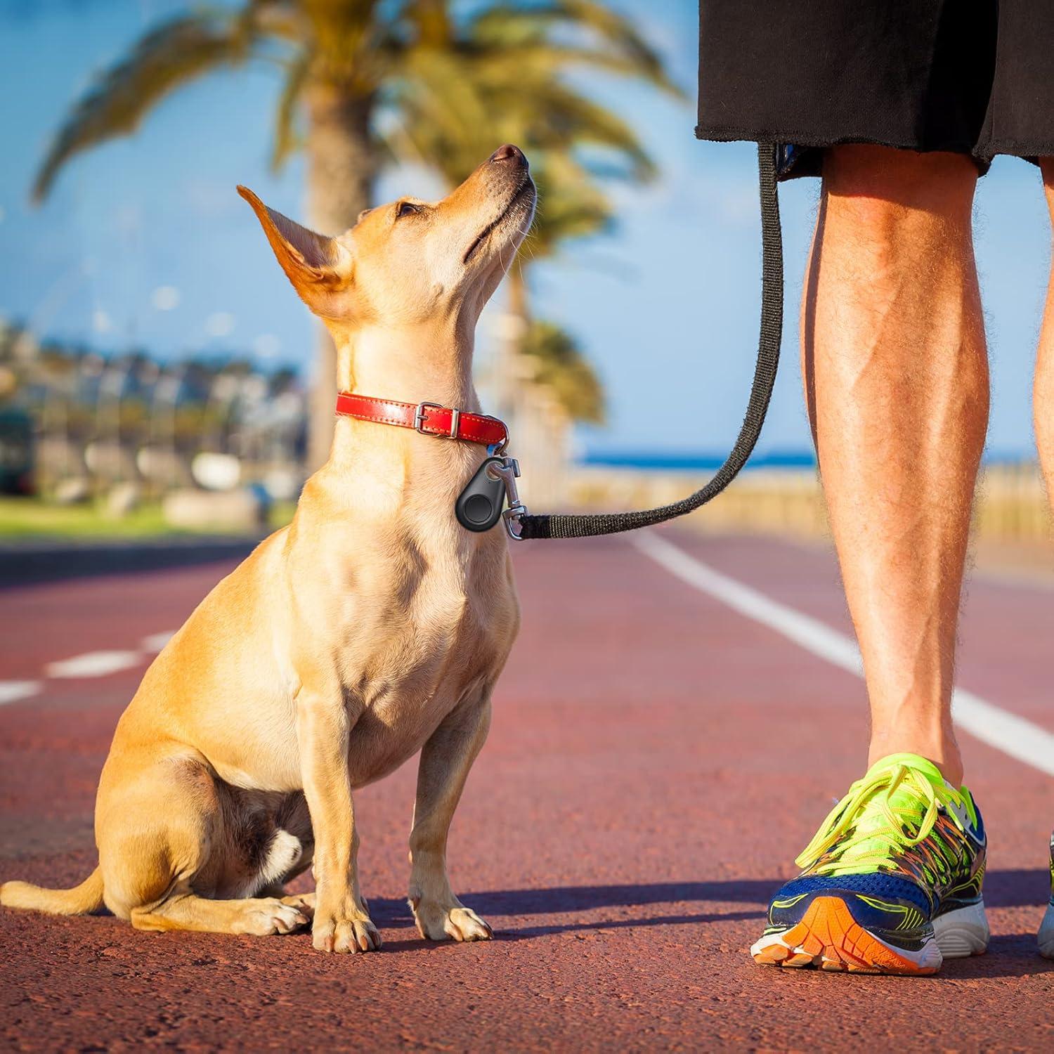 Rastreador GPS Inalámbrico Flutesan 8 Piezas Anti Pérdida