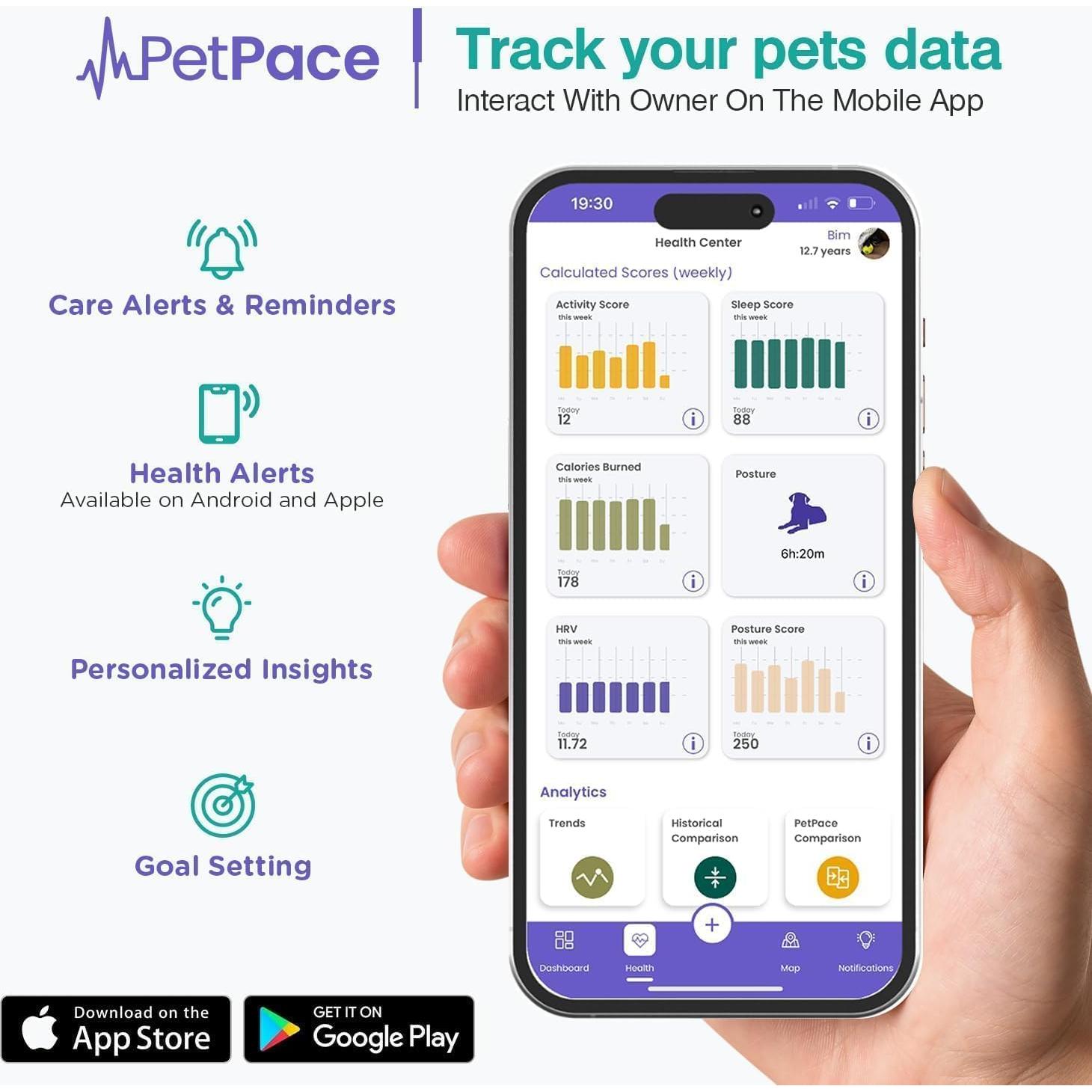 Collar Inteligente PetPace 2.0 Mediano para Perros - Monitoreo Salud