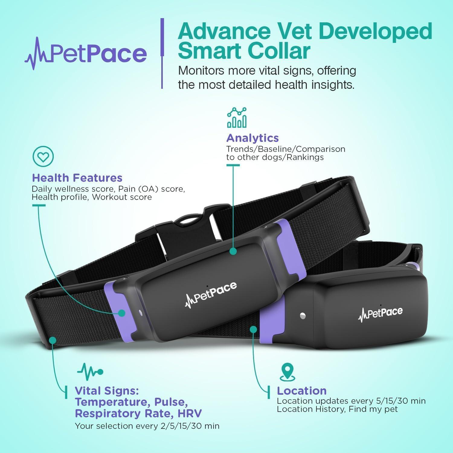 Collar Inteligente PetPace 2.0 Mediano para Perros - Monitoreo Salud