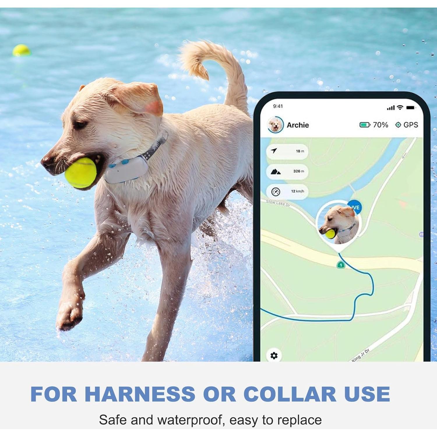 Clip de goma para rastreador GPS Tractive - Paquete de 4