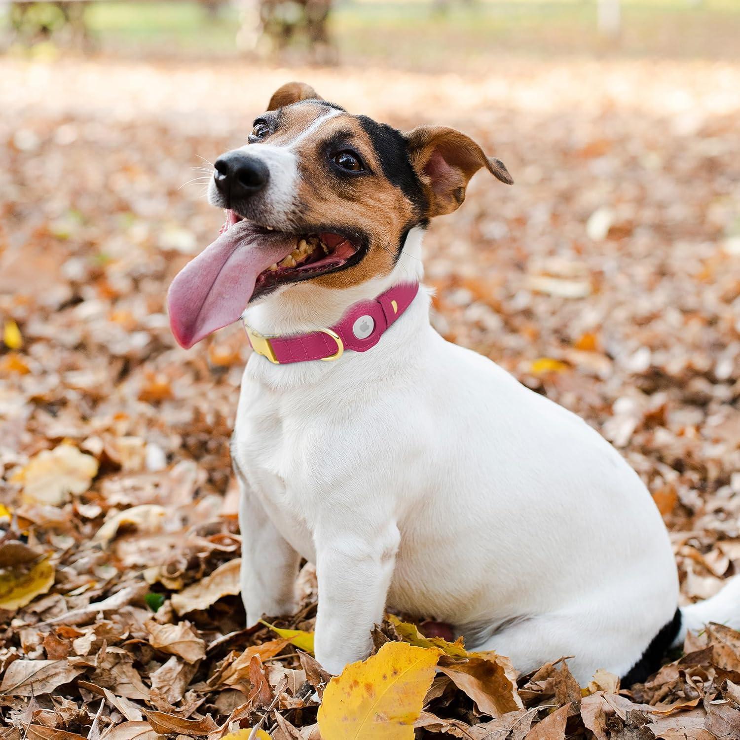 Collar de perro de cuero Budkas con soporte AirTag Rosa L