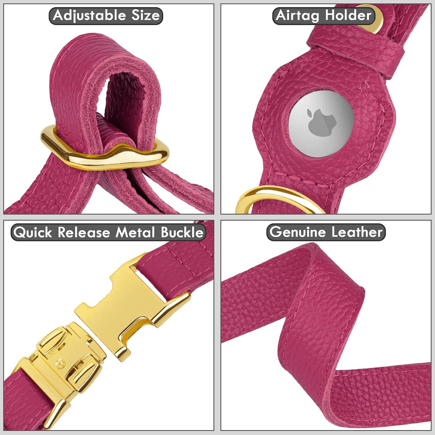 Collar de perro de cuero Budkas con soporte AirTag Rosa L