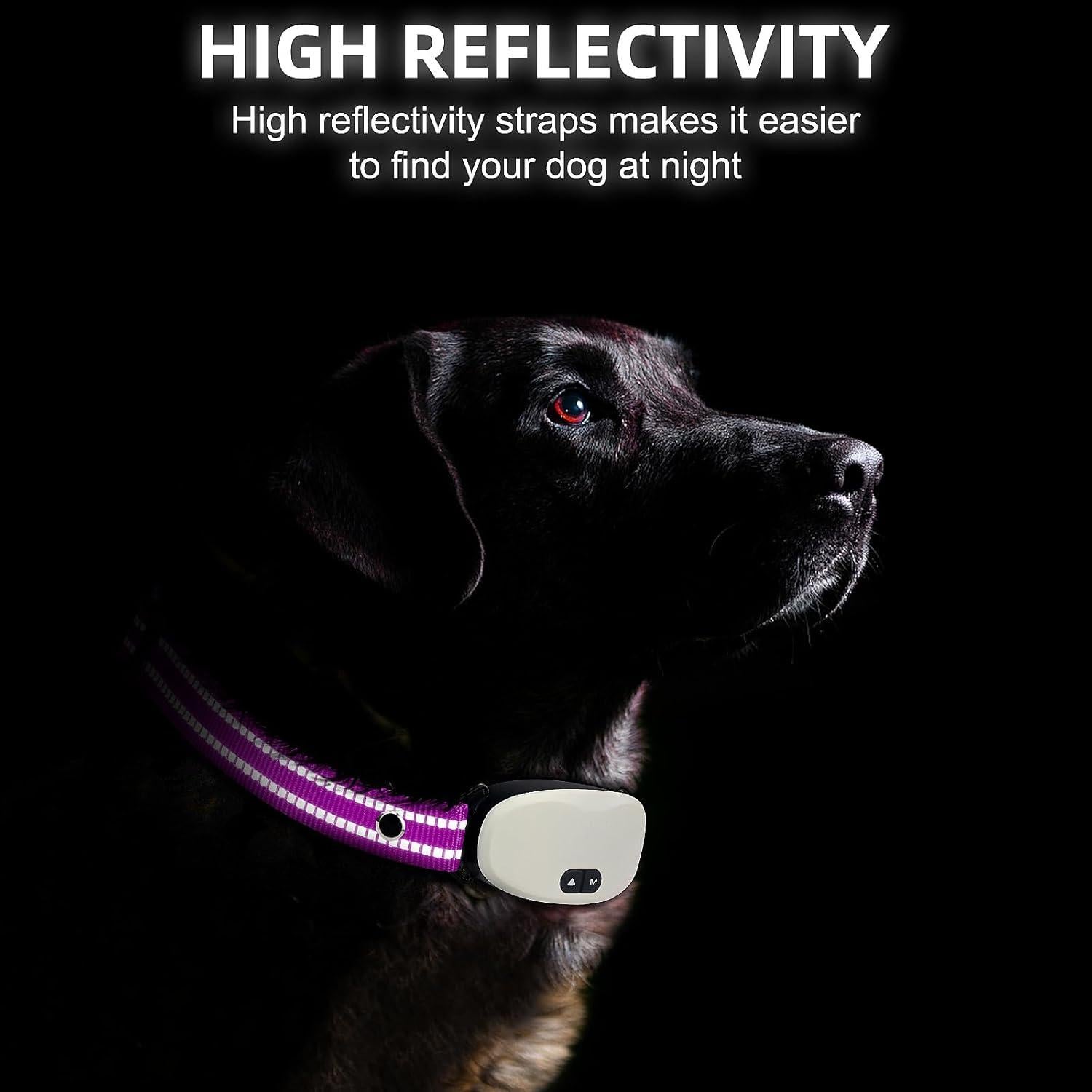 Correa de Reemplazo Nylon Reflectante Odokele 1.91cm x 64.77cm