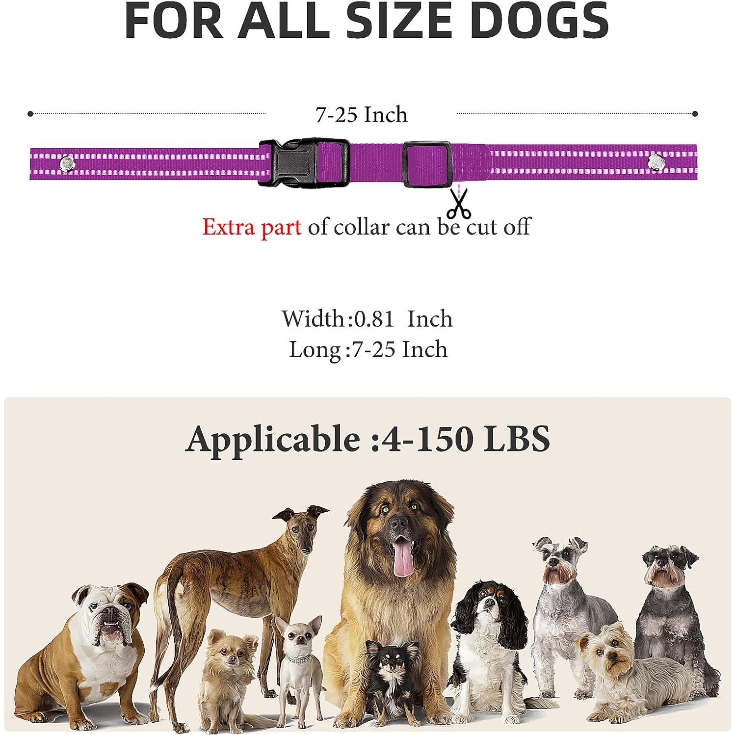 Correa de Reemplazo Nylon Reflectante Odokele 1.91cm x 64.77cm