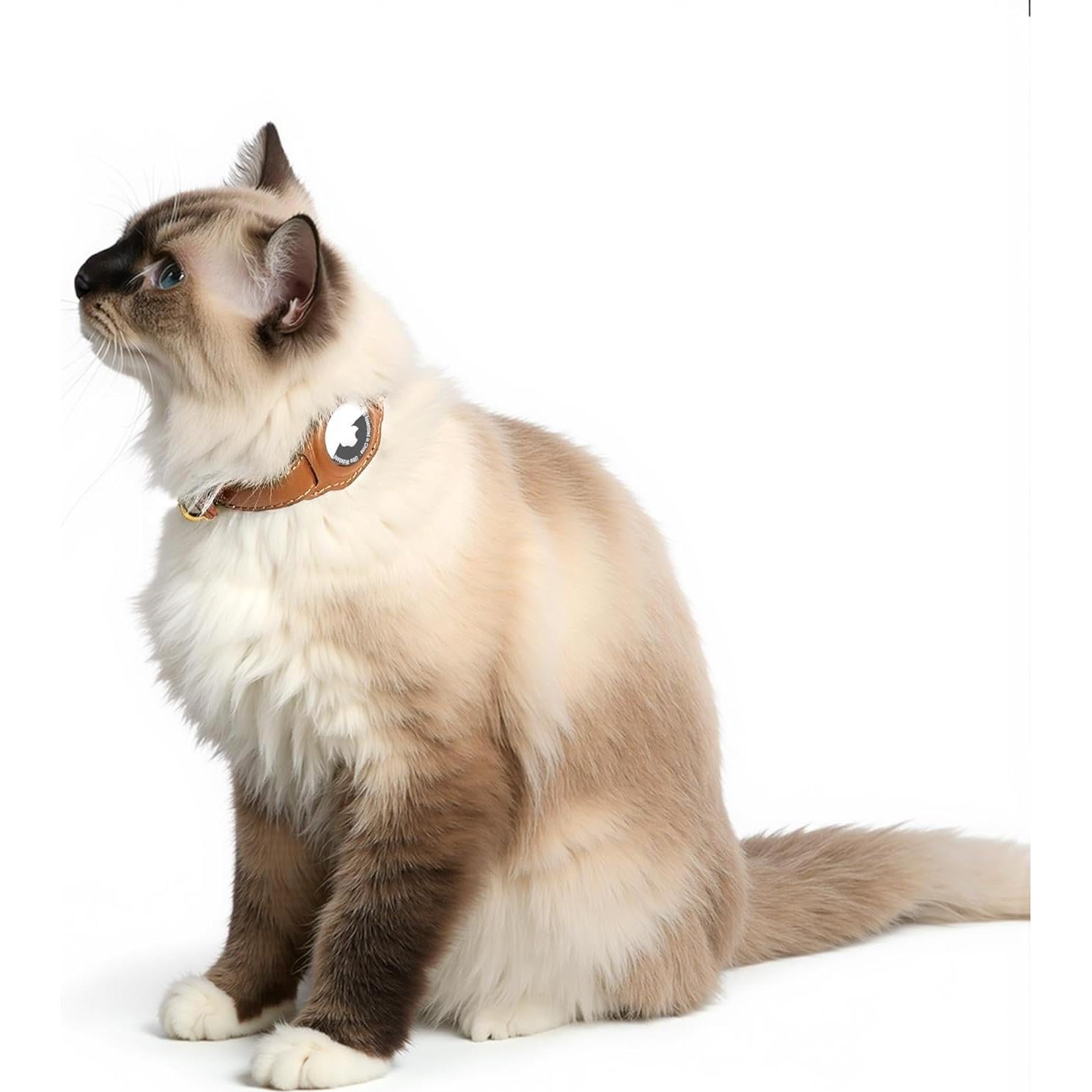 Collar para Gato AirTag Jowlroel Cuero Marrón Claro 33cm