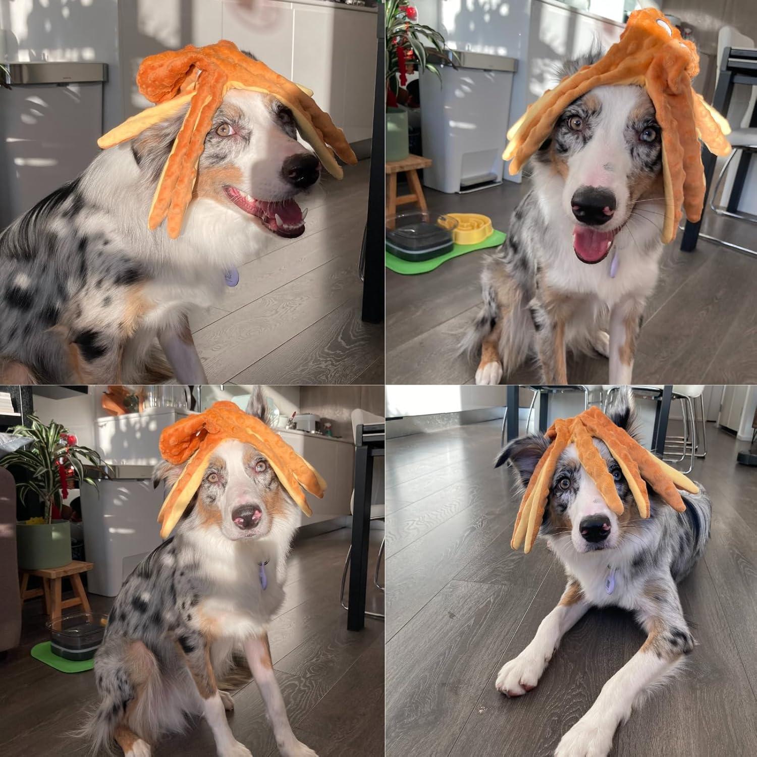 Juguetes para Perros HGB Pulpo Sin Relleno Paquete de 2