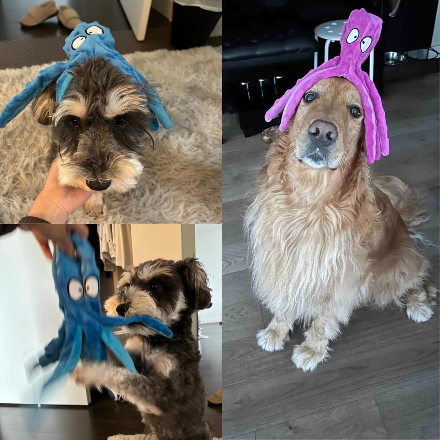 Juguetes para Perros HGB Pulpo Sin Relleno Paquete de 2