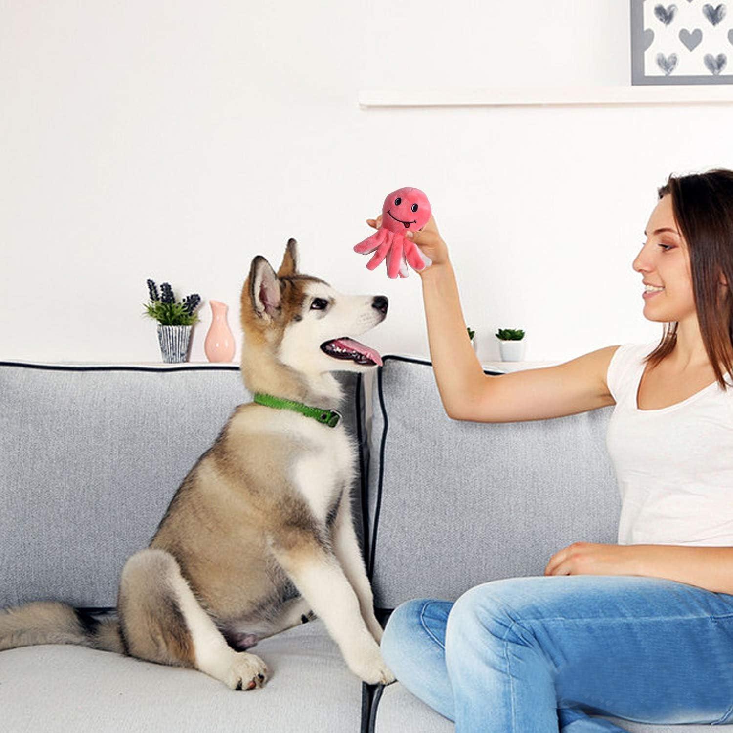 Pack 12 Juguetes de Peluche Squeaky Legend Sandy para Perros