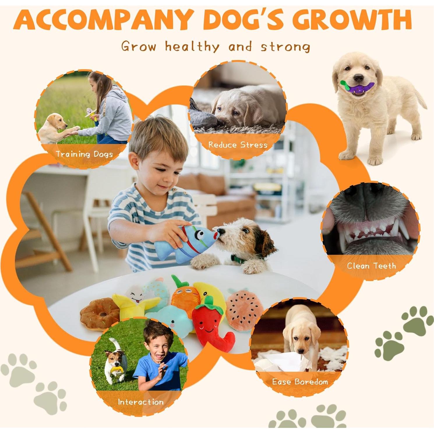 Conjunto de Juguetes Chirriantes QTwoof para Perros Pequeños