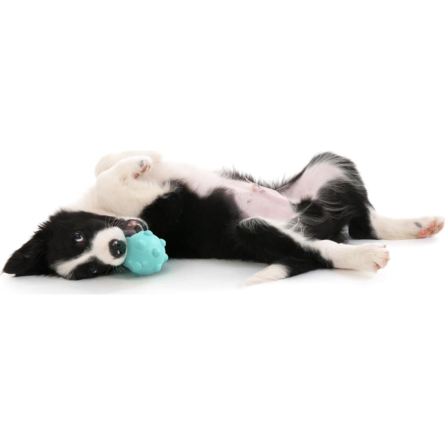 Pelota de Masticar Playology Mediana con Aroma a Mantequilla de Maní