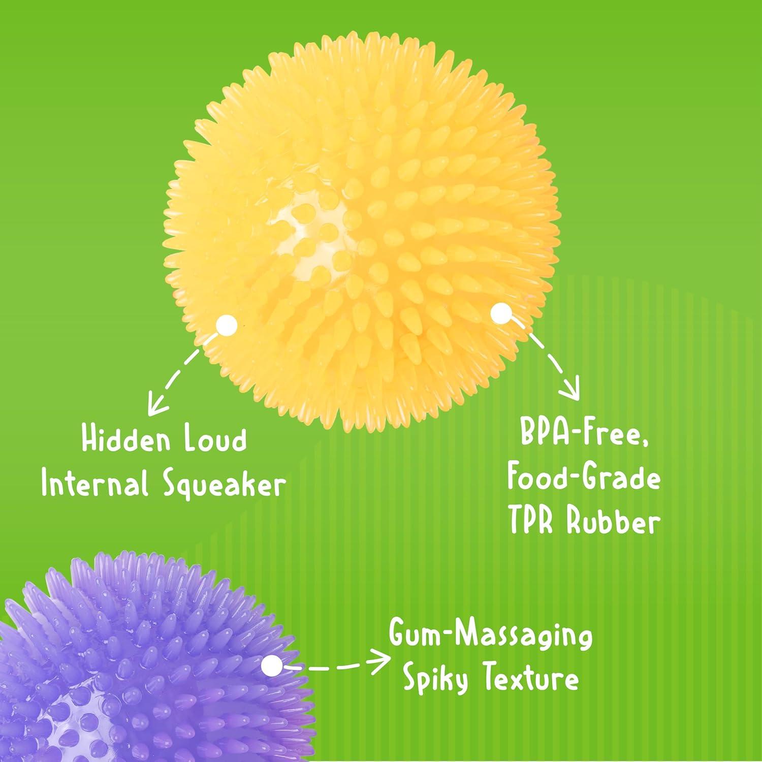 Bola Squeaky Mediana Gnawsome Royal Pet 8,89 cm para Perros