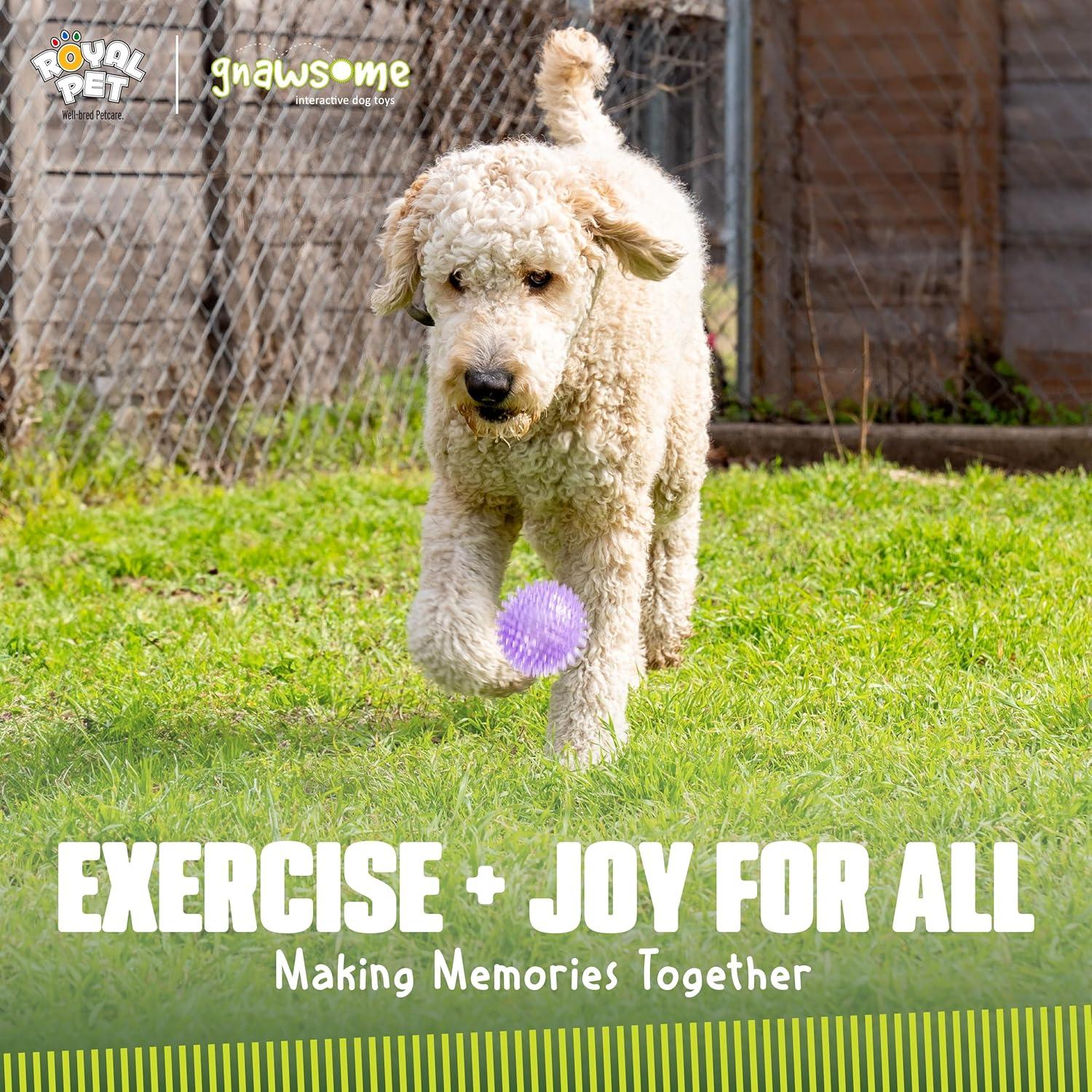 Bola Squeaky Mediana Gnawsome Royal Pet 8,89 cm para Perros