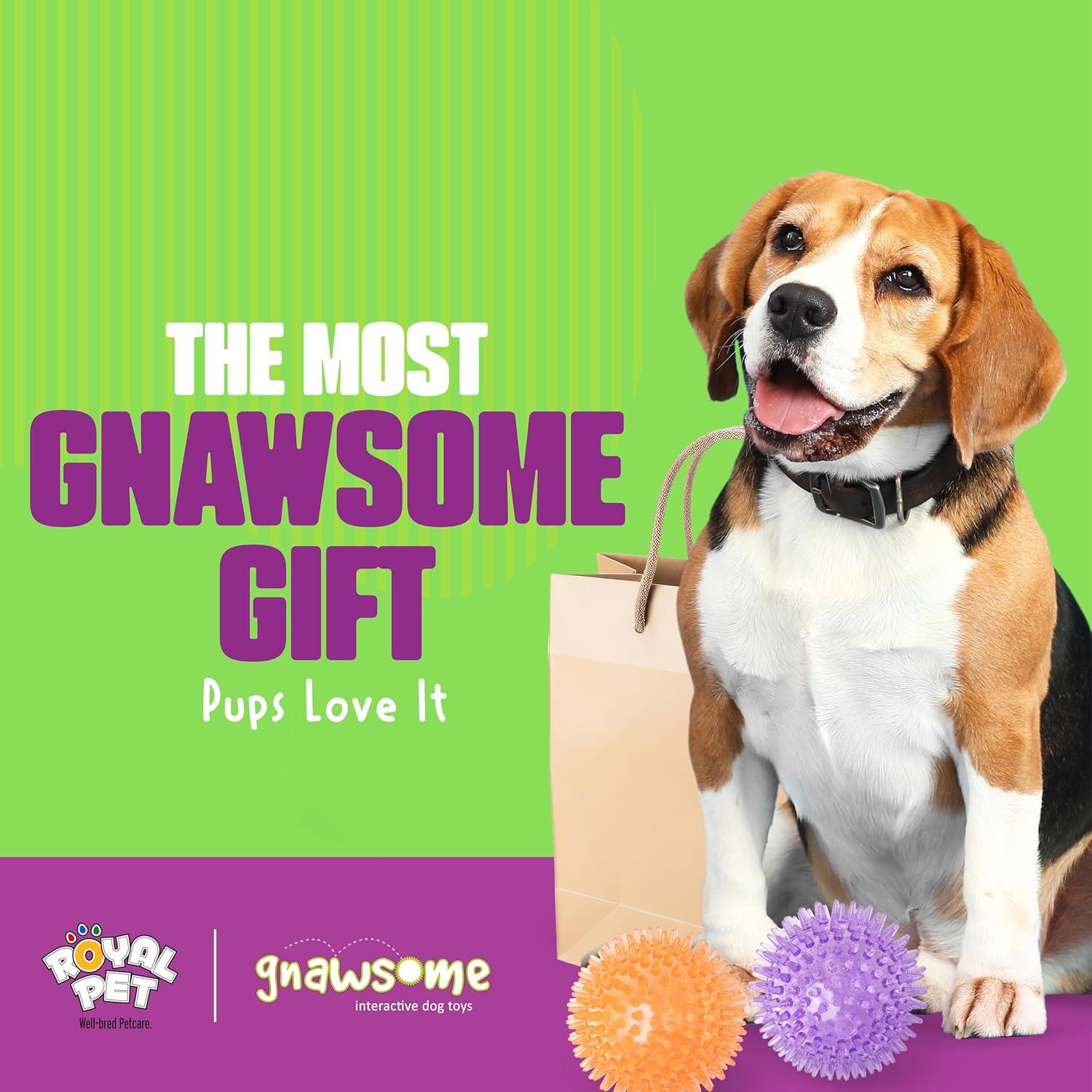 Bola Squeaky Mediana Gnawsome Royal Pet 8,89 cm para Perros