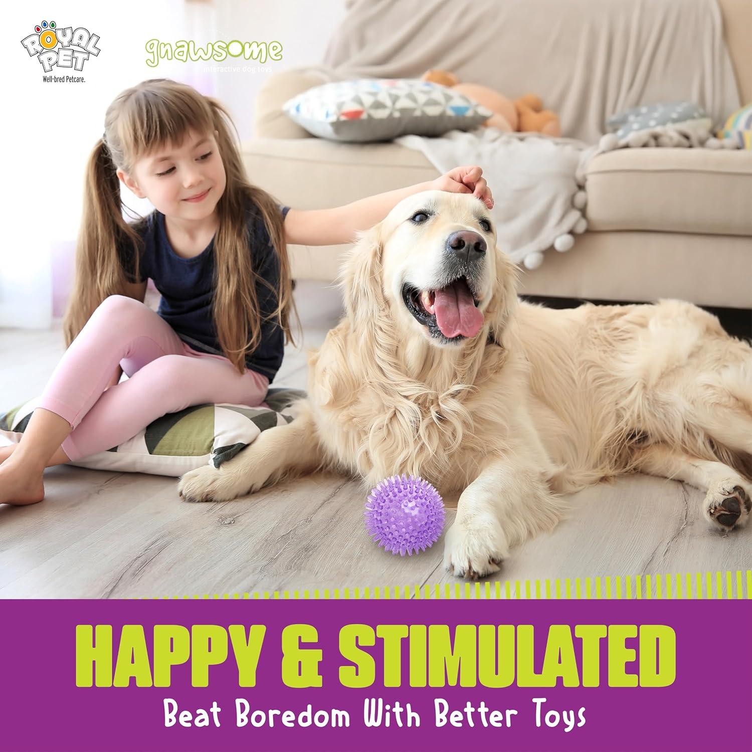 Bola Squeaky Mediana Gnawsome Royal Pet 8,89 cm para Perros