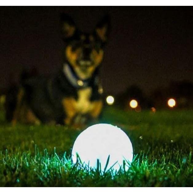 Pelotas Brillantes para Perros Chuckit! Max Glow 6,35 cm Paquete 2
