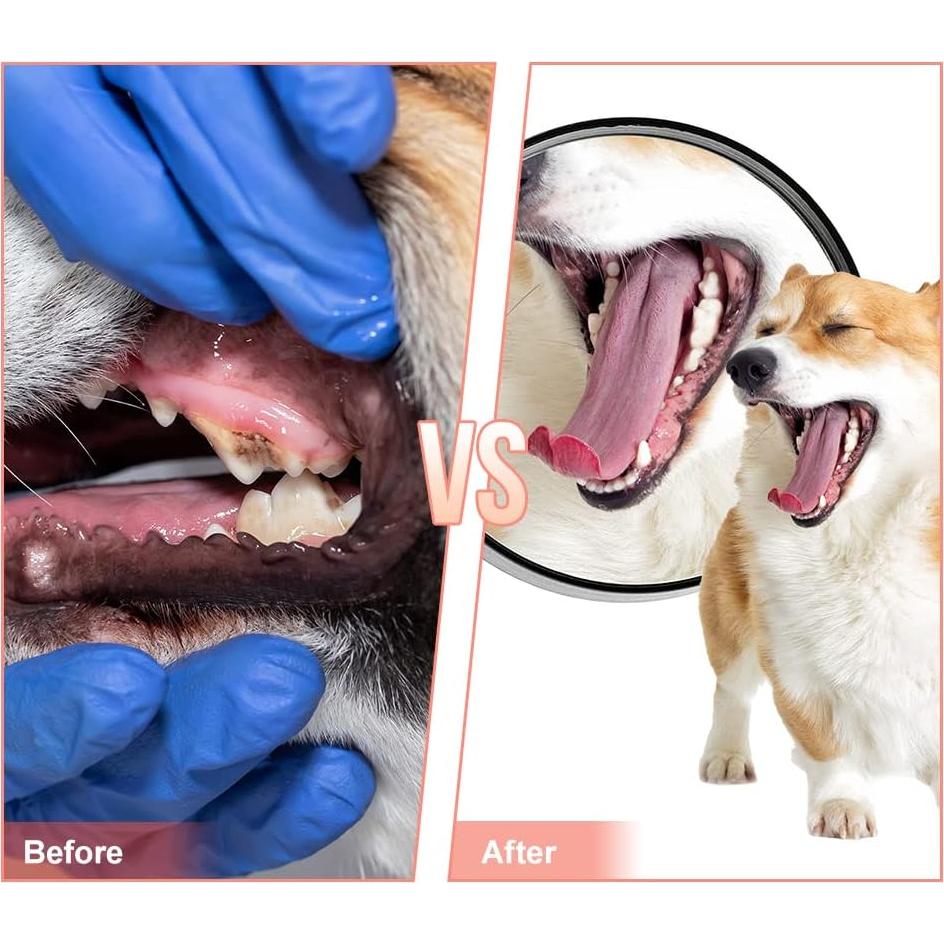 Juguete para Masticar Perros Mondotoy Pantufla Goma 13x5cm