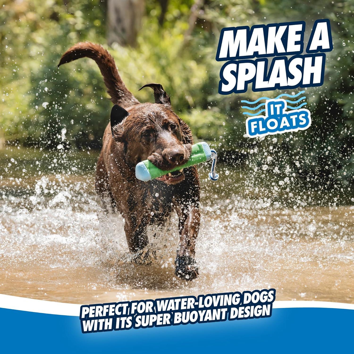 Chuckit! Juguete Flotante para Perros Mediano - Amphibious Bumper