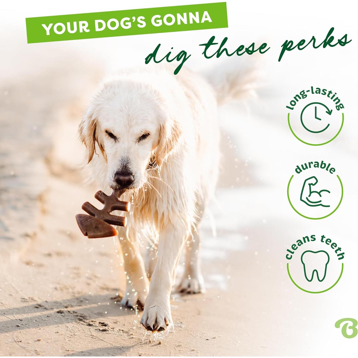 Benebone Fishbone Juguete Duradero para Perros Mediano