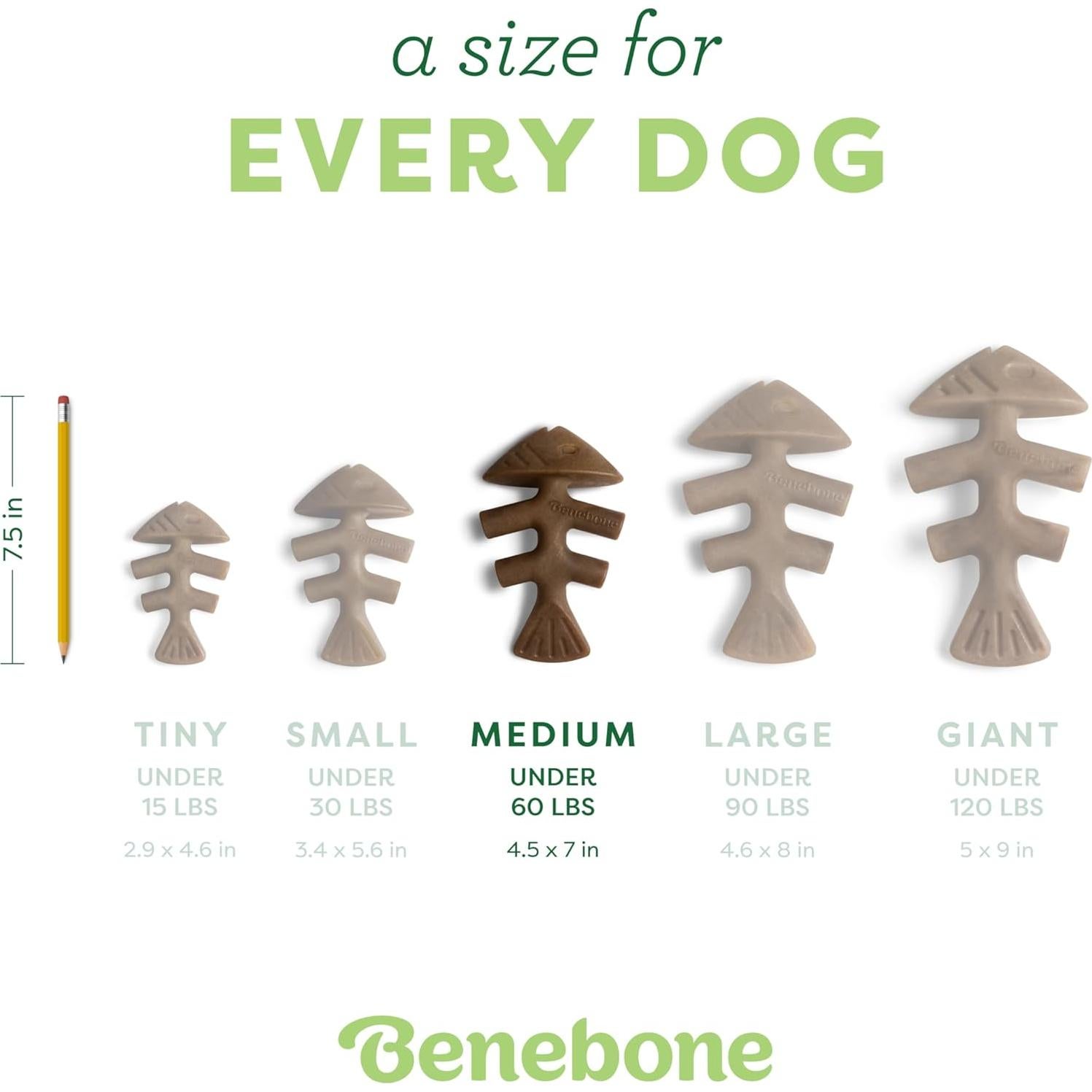 Benebone Fishbone Juguete Duradero para Perros Mediano