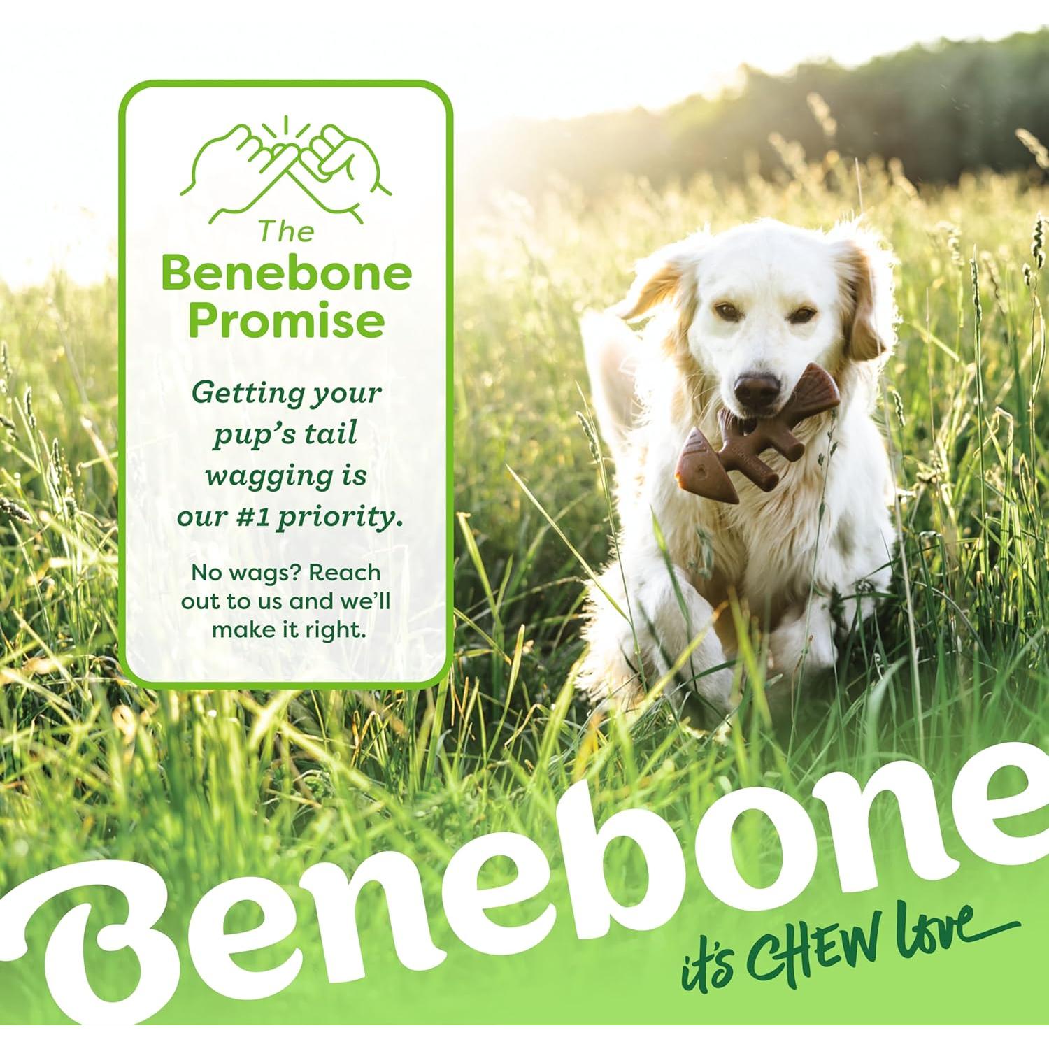 Benebone Fishbone Juguete Duradero para Perros Mediano