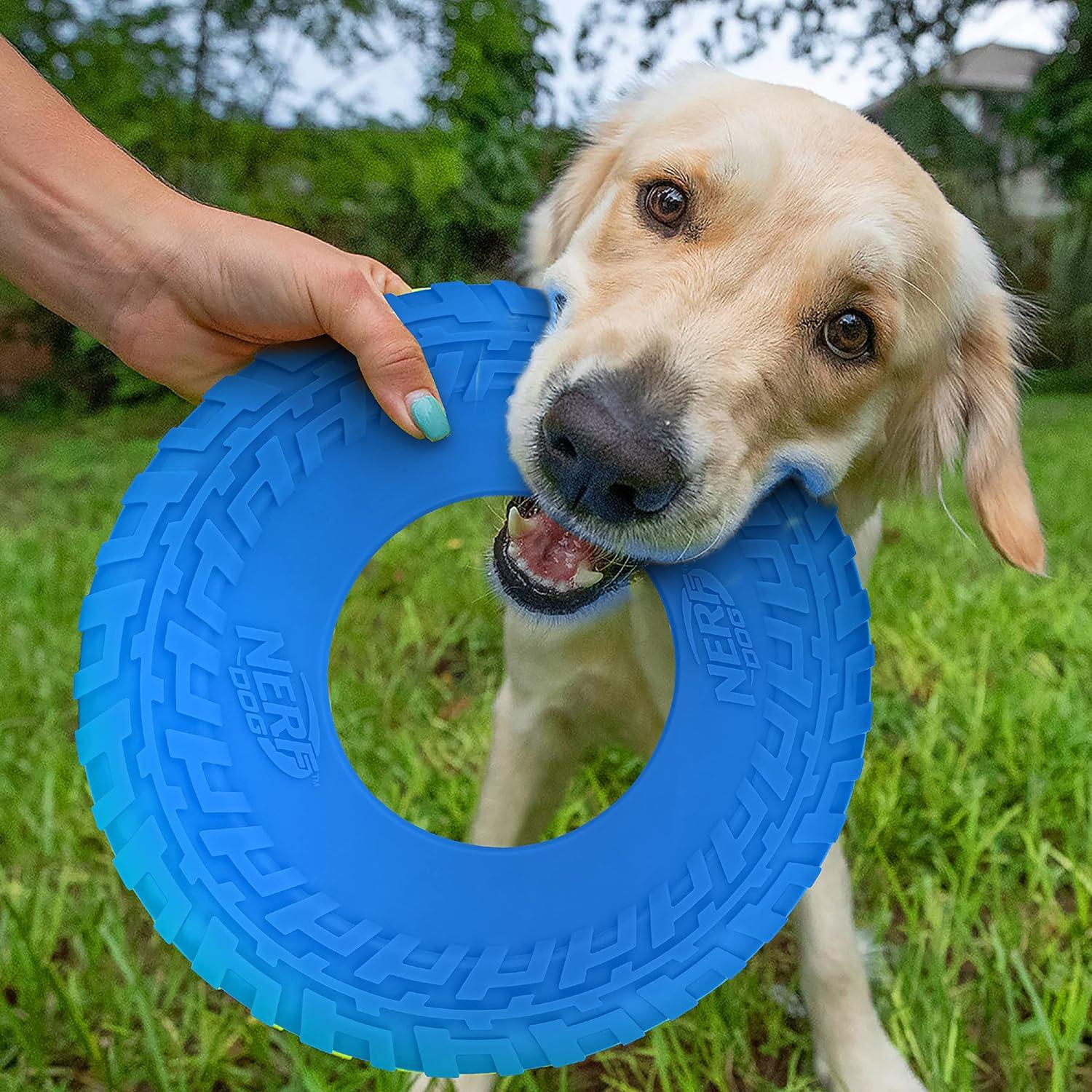 Juguete para Perros Nerf Dog Tire Flyer 25,4 cm Azul