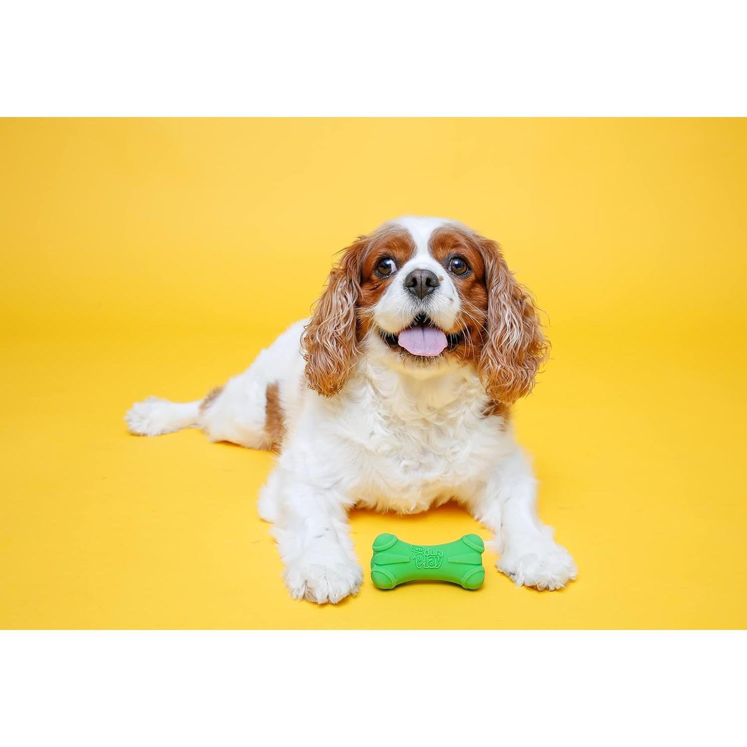 Hartz DuraPlay Juguetes para Perros Medianos 3 Piezas