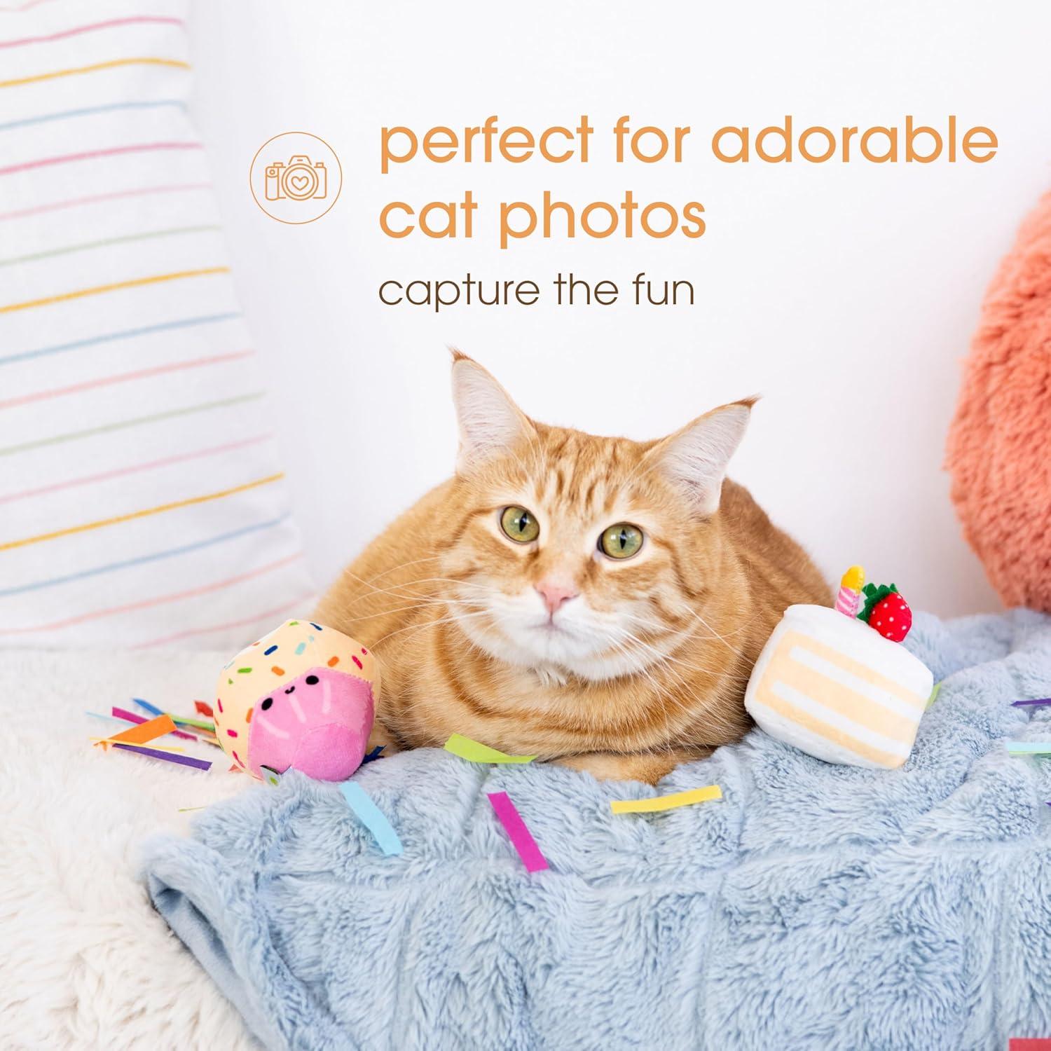 Juego de Juguetes para Gato Pearhead Pastel y Cupcake