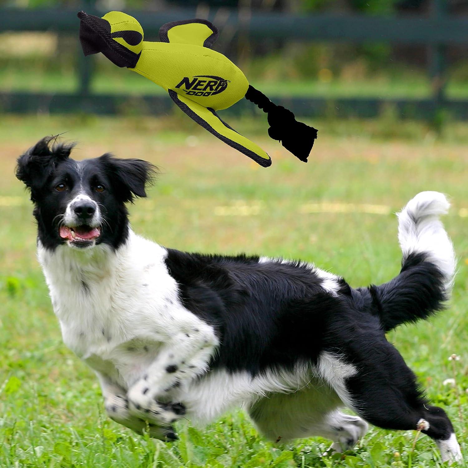 Juguete para Perros Nerf Dog Trackshot Lanzador Pato 41.9cm Verde