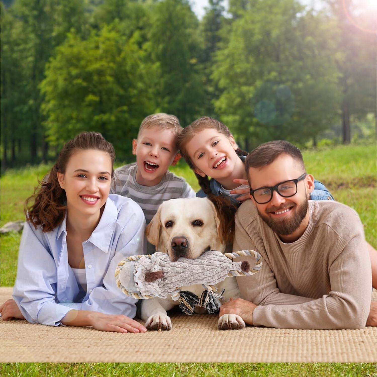 Juguete Interactivo para Perros Drmstow Gris 10.92x7.87cm