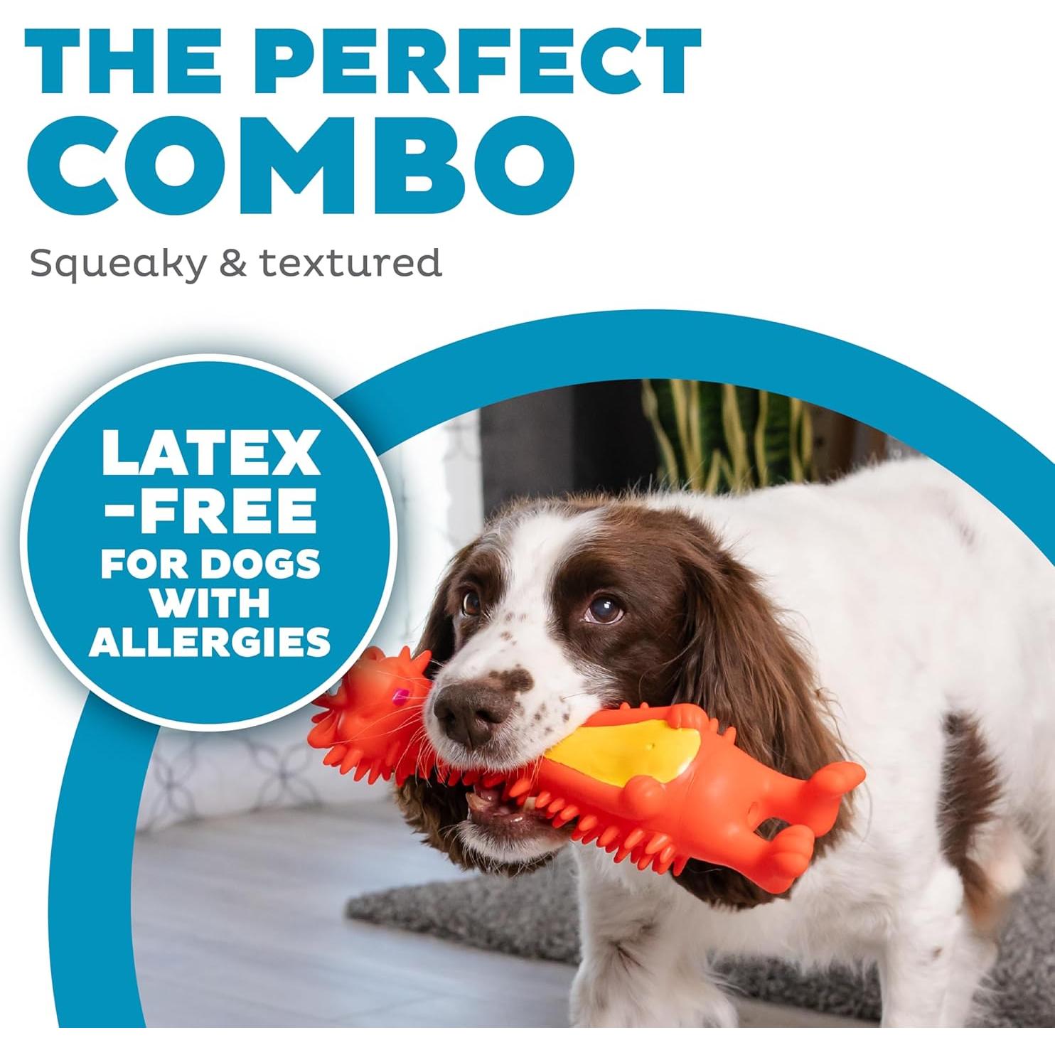 Juguete para Perros Erizo Grande Squeak Sin Látex 27.9cm