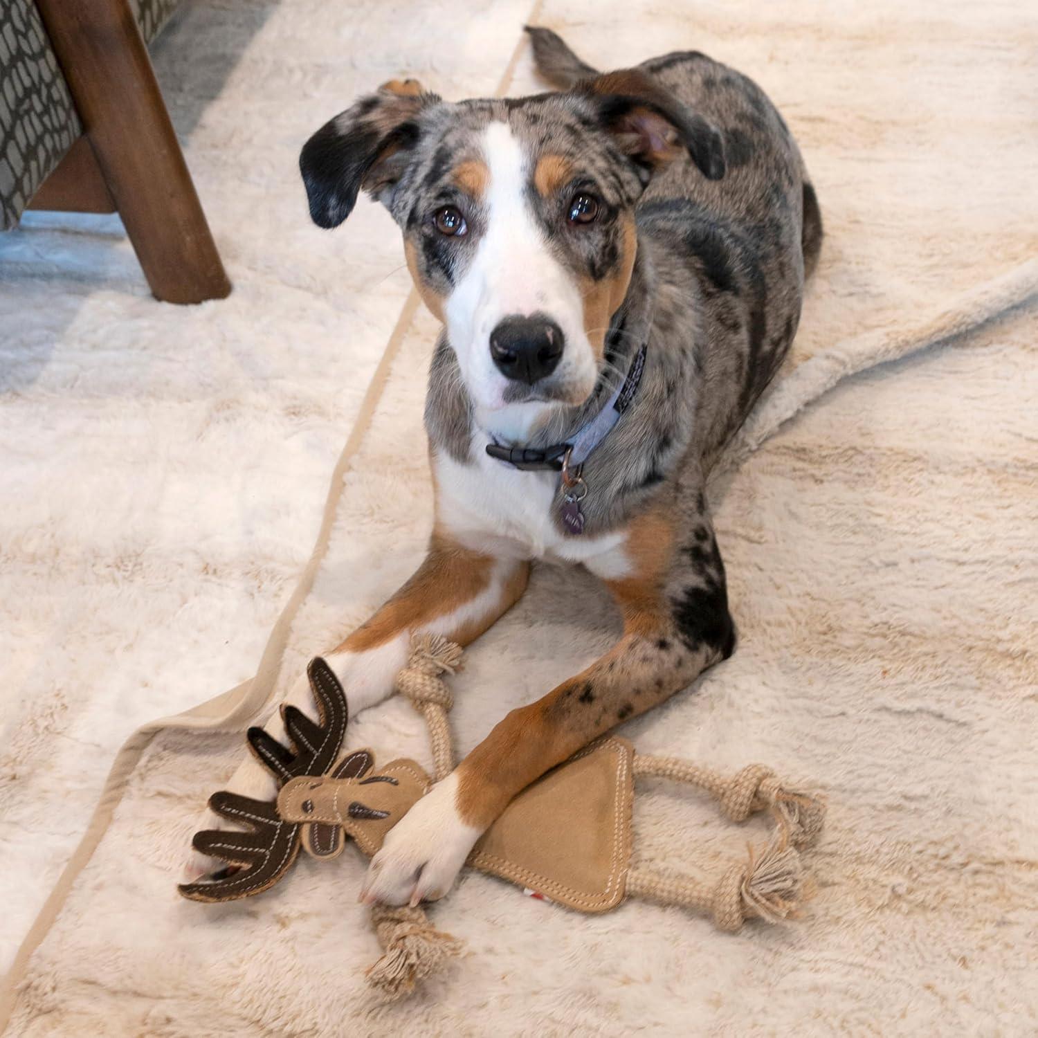 Juguete para Perros SPOT Cuero Dura-Fused 35,56 cm