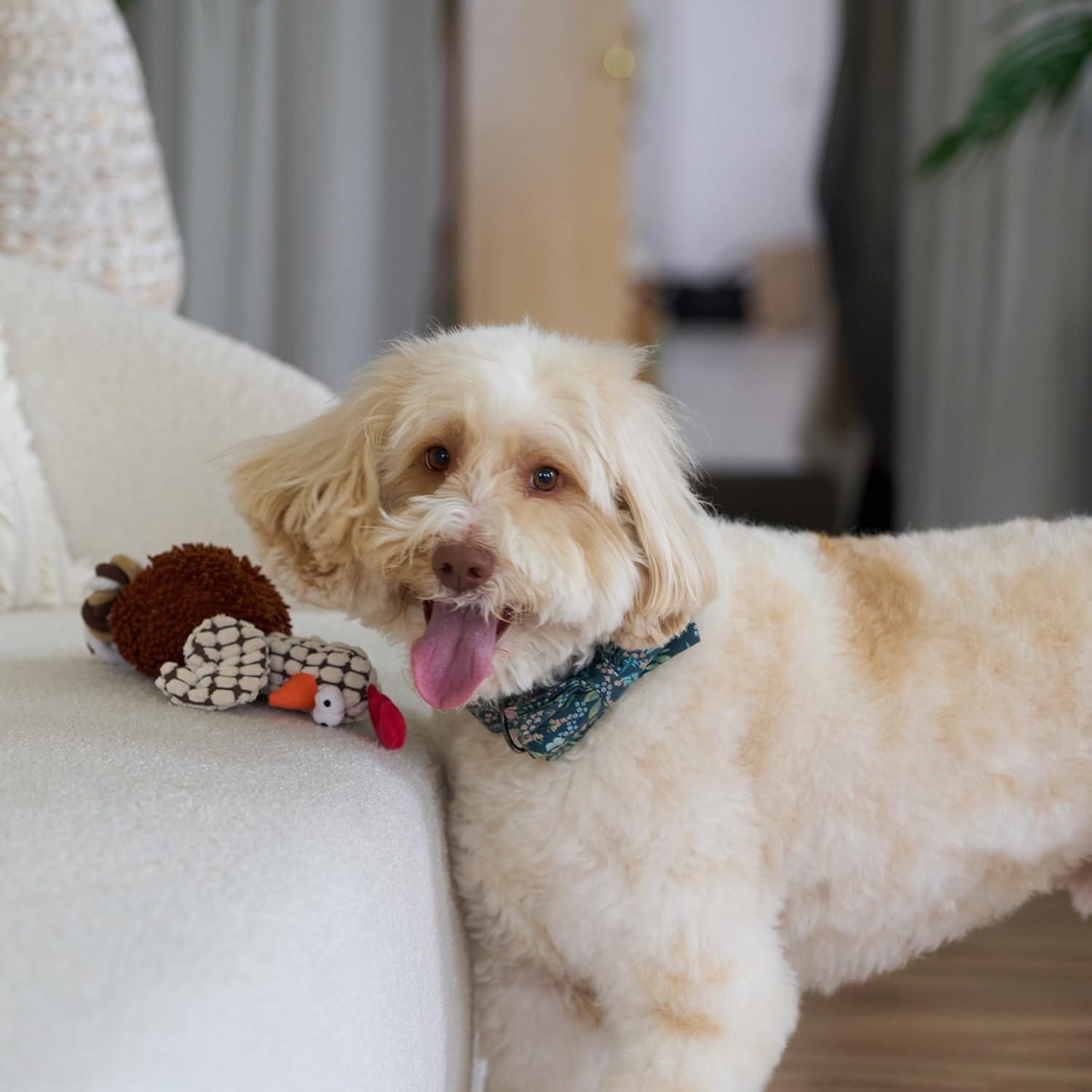 Juguete para Perros Ethical Pets Gigglers Pollo 30 cm