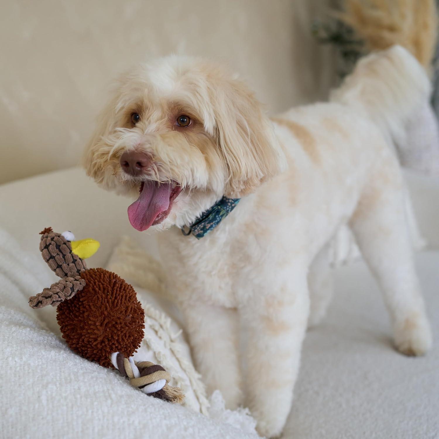 Juguete para Perros Ethical Pets Gigglers Pollo 30 cm