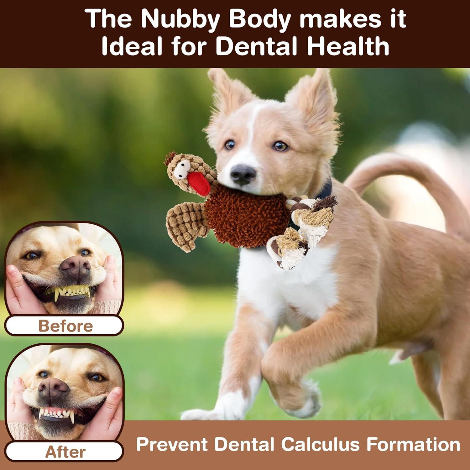 Juguete para Perros Ethical Pets Gigglers Pollo 30 cm